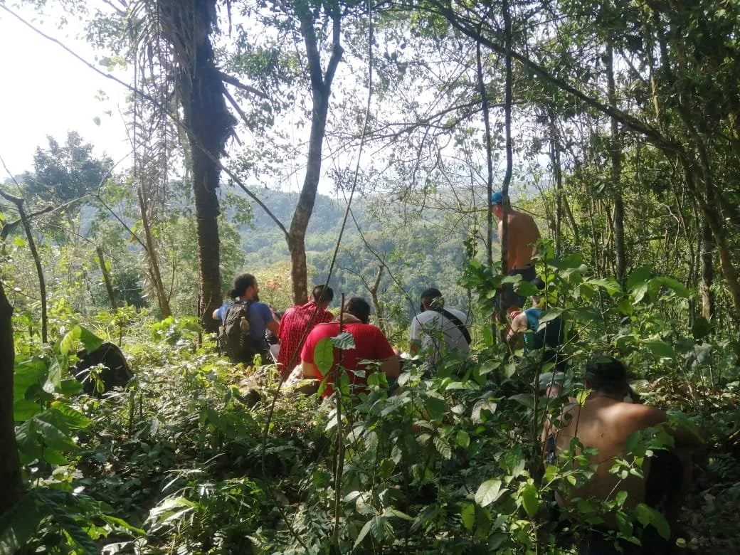 Group of hikers resting in dense tropical forest overlooking a green mountain valley