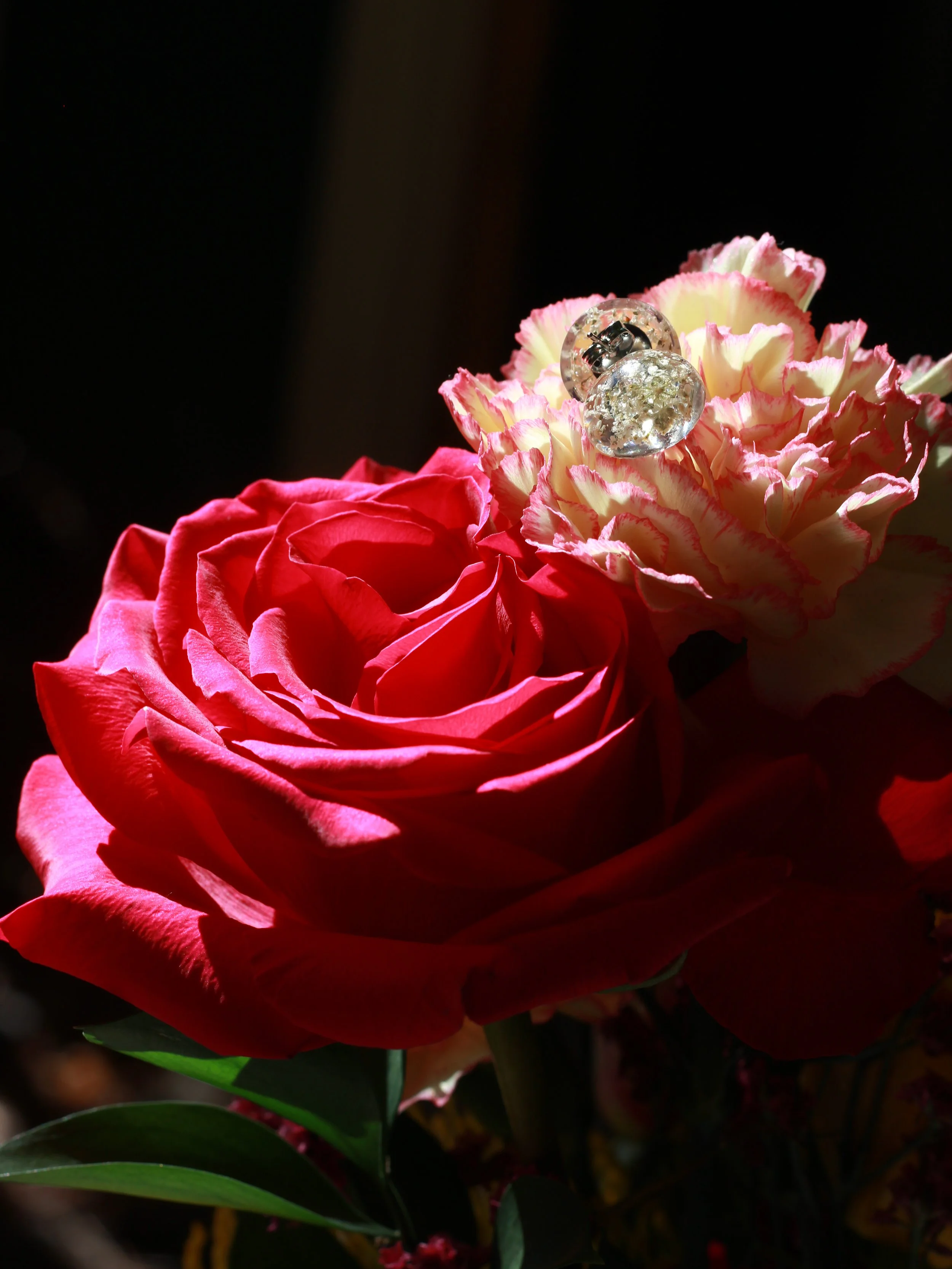 IMG_3142.png