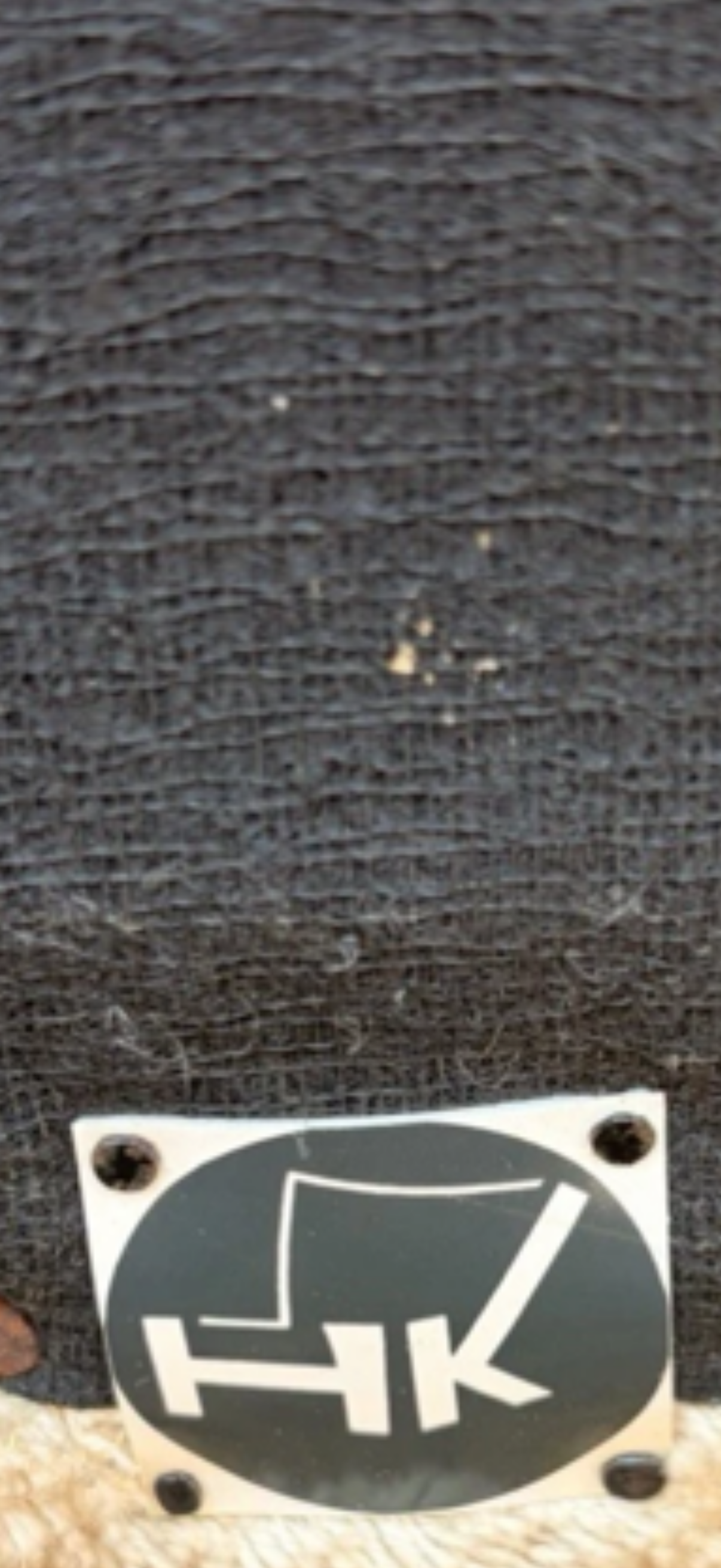 IMG_5373.png