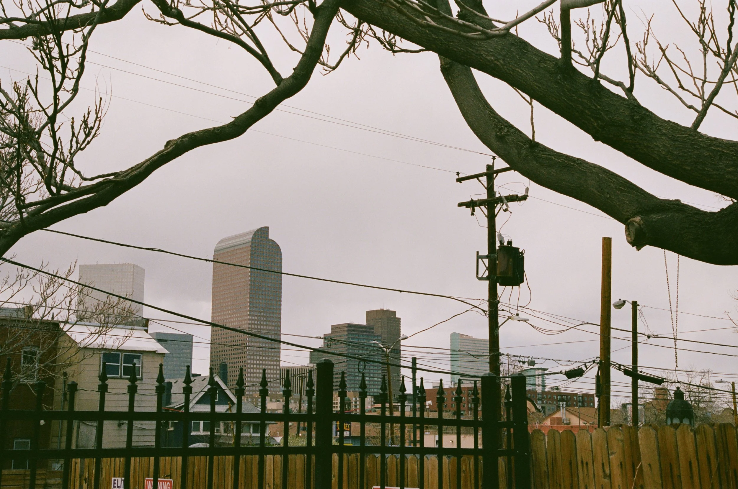 fence view 106.jpg