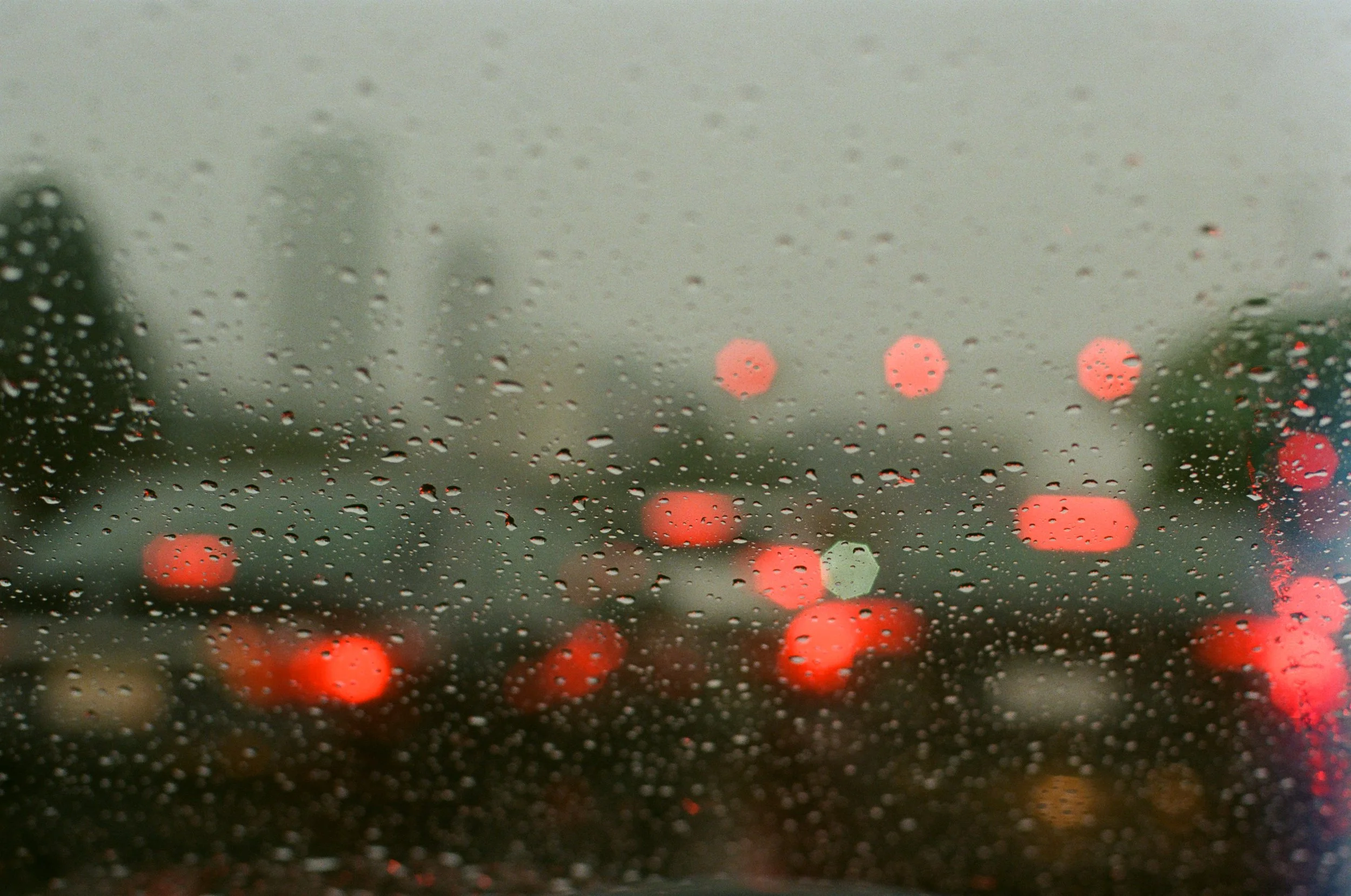 rainy 109.jpg