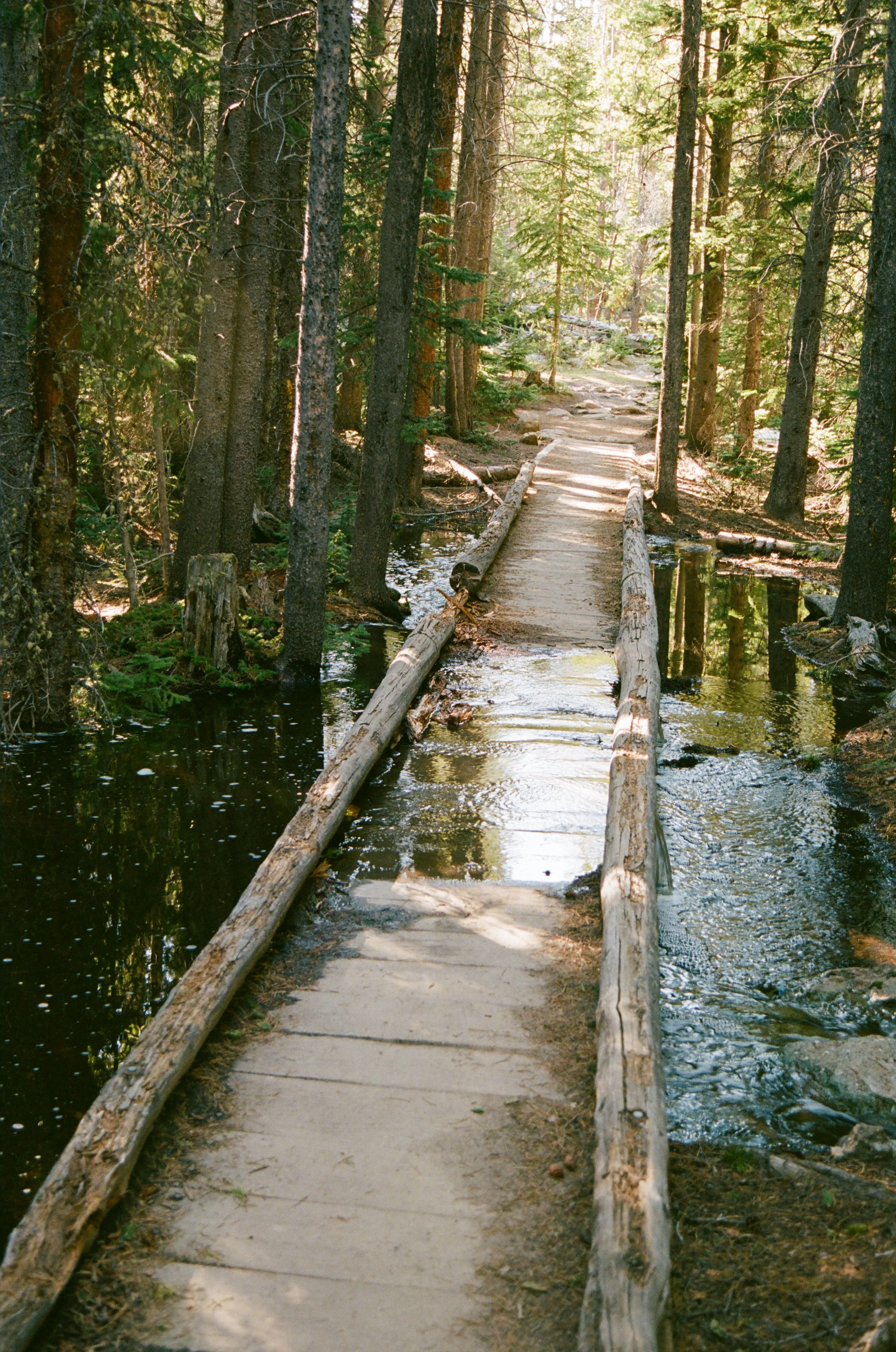 rockys path.jpg