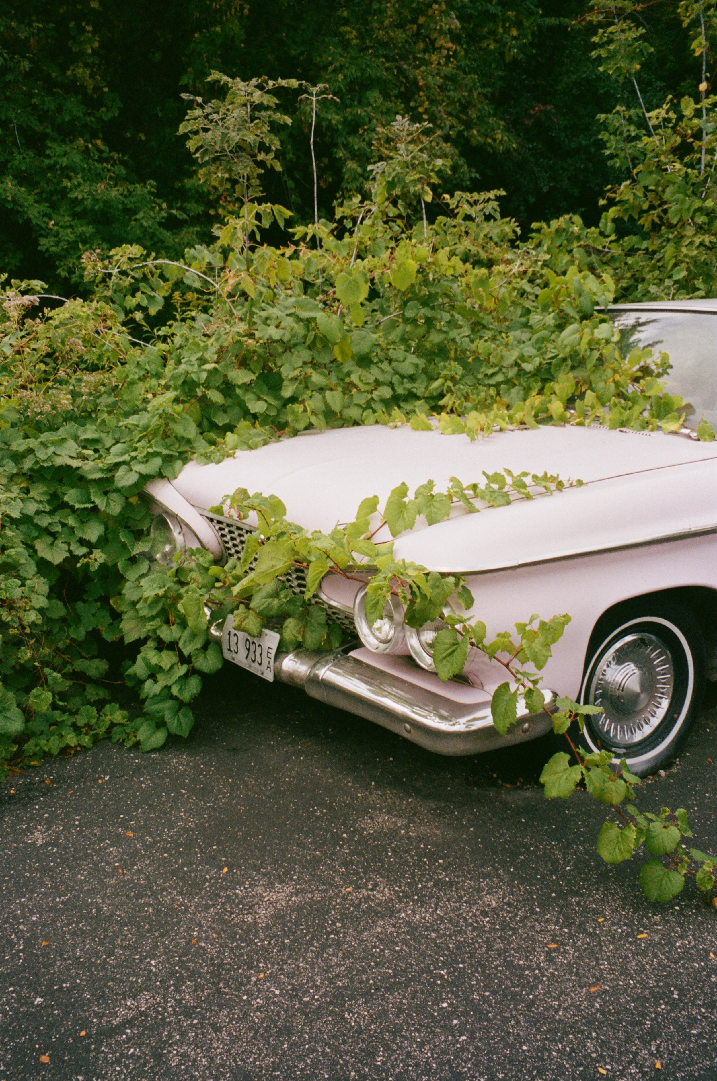 pink car 2.jpg