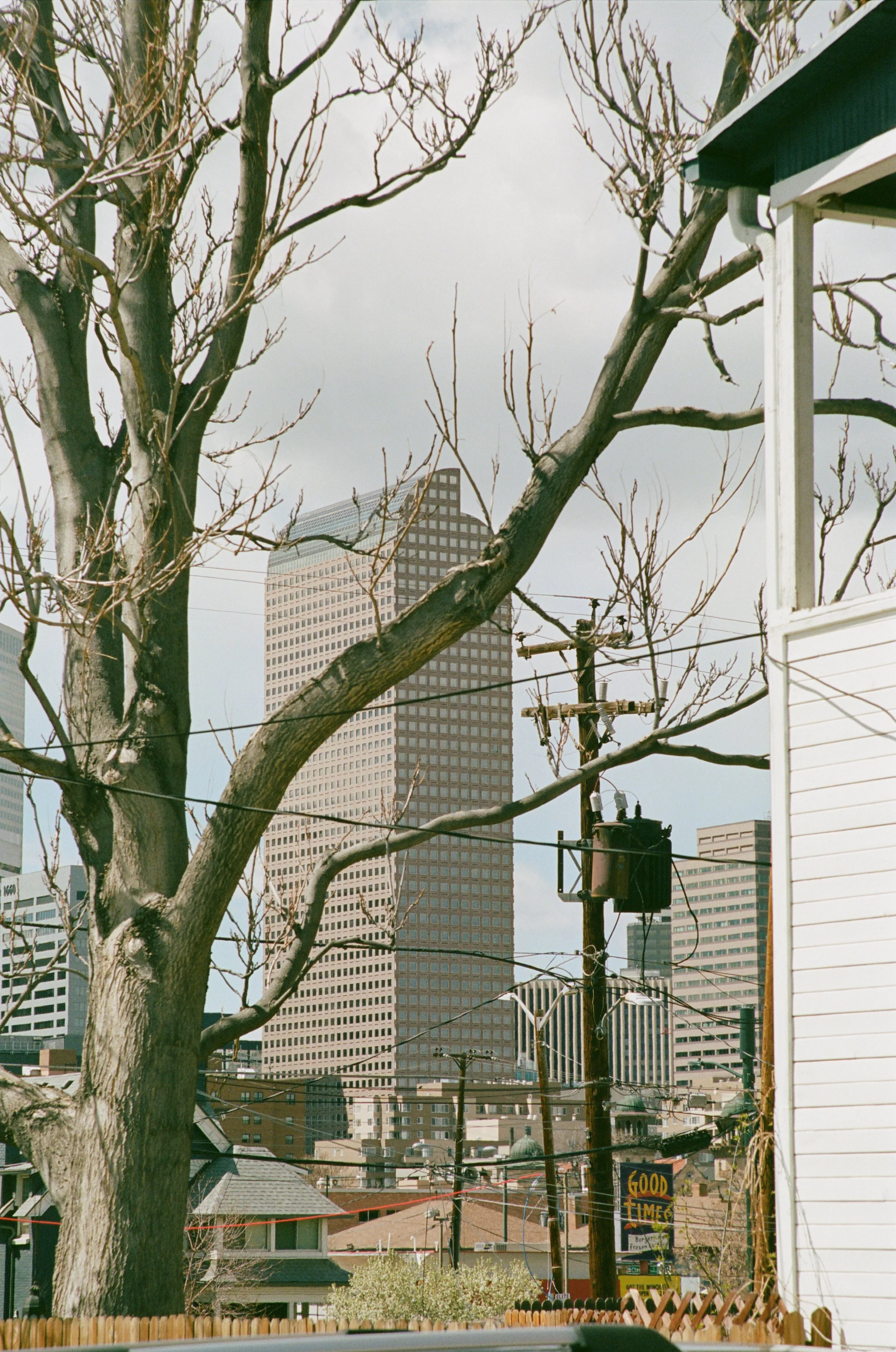 fence view 106 #2.jpg