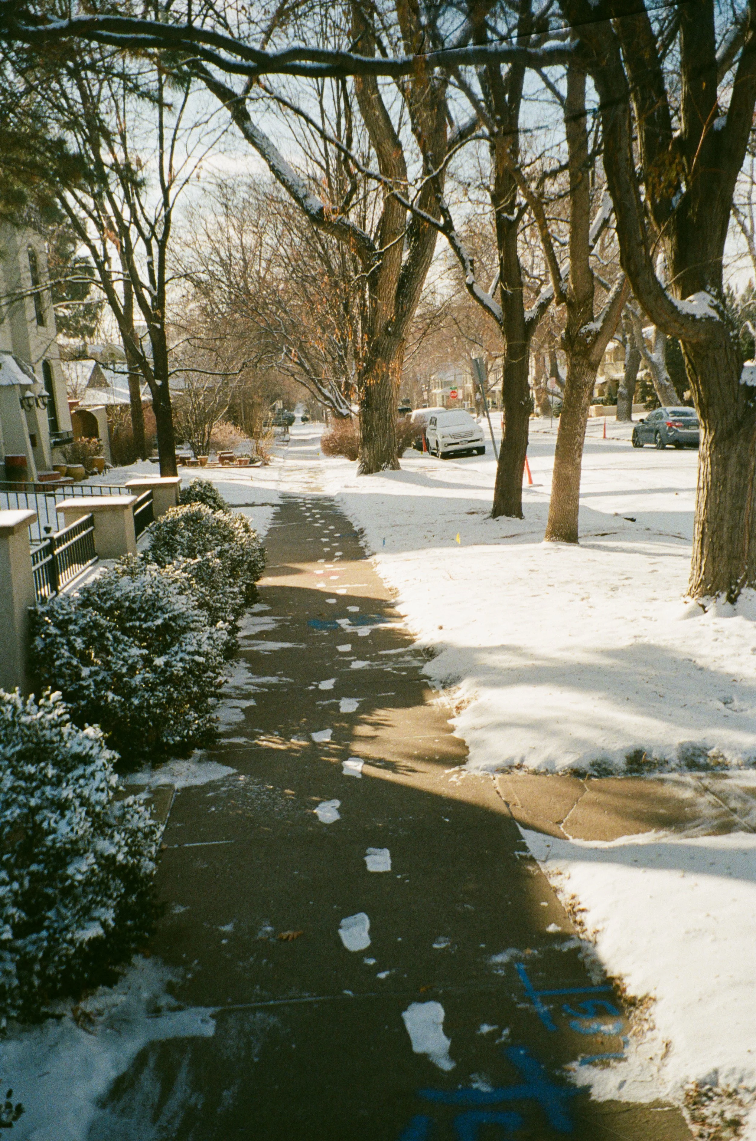 snow footsteps.jpg