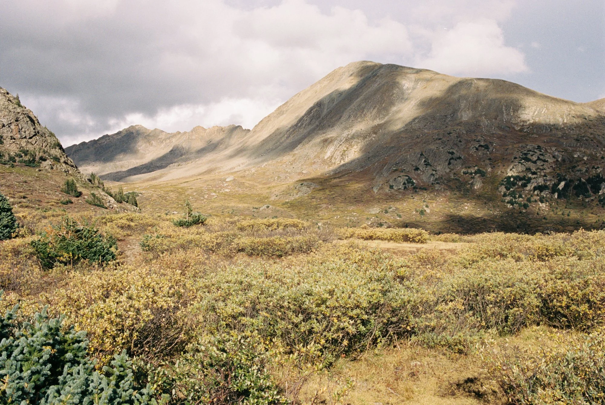 landscape in rck mtn by divide.jpg
