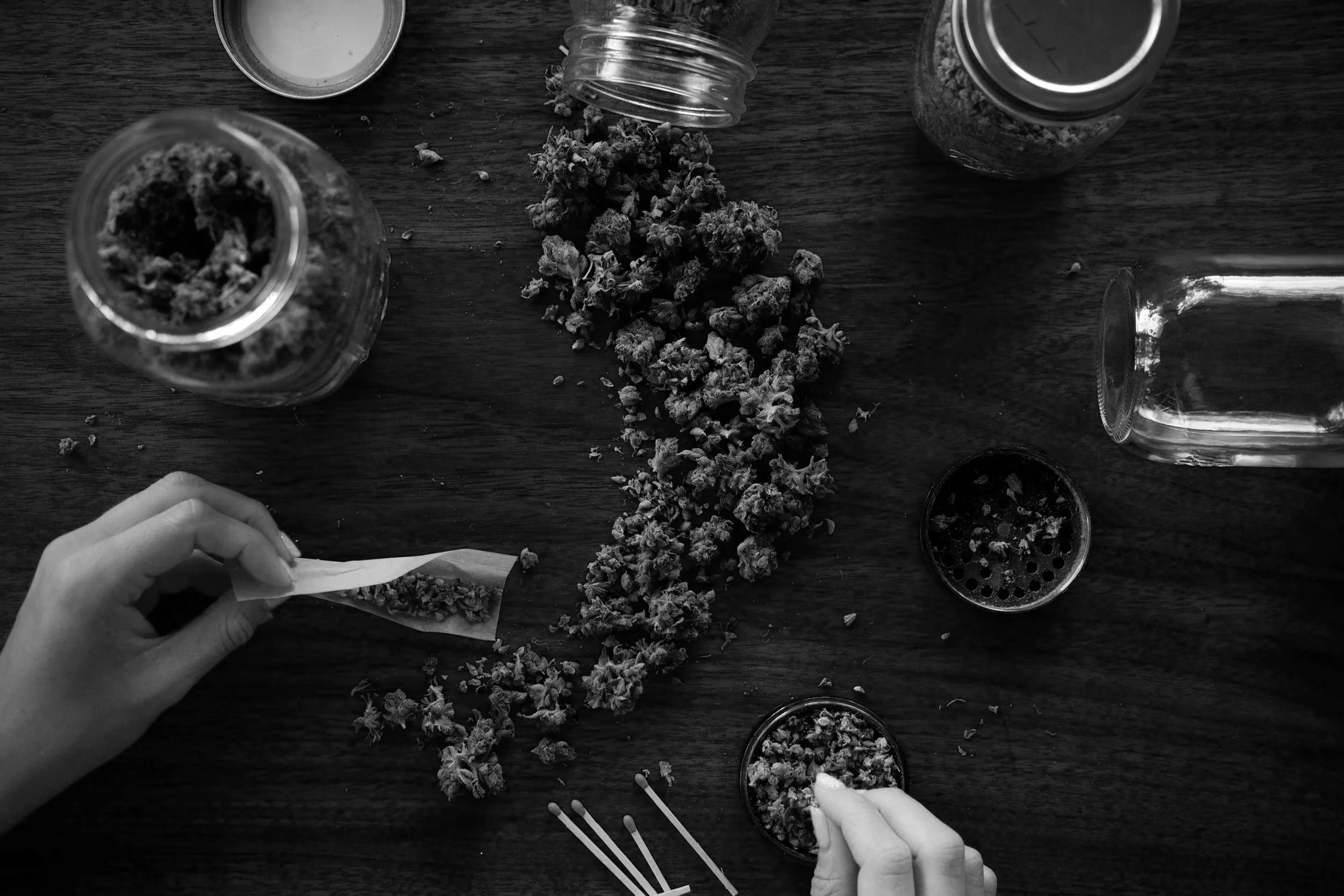 The Terrifying Effects of Marijuana on Young Brains