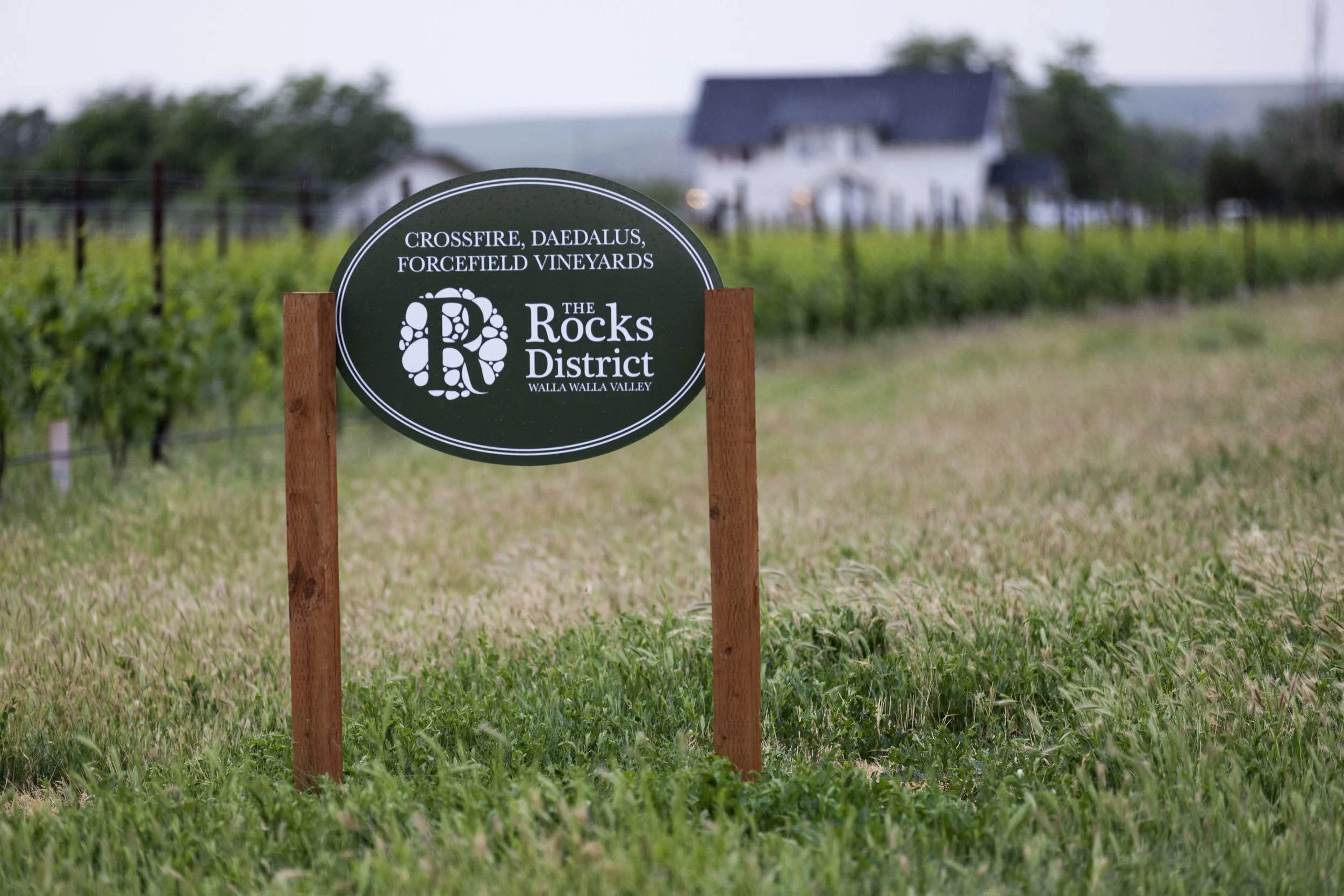 Sign in front of vineyard with house in background, reading 'Crossfire, Daedalus, Forcefield Vineyards, The Rocks District, Walla Walla Valley'.