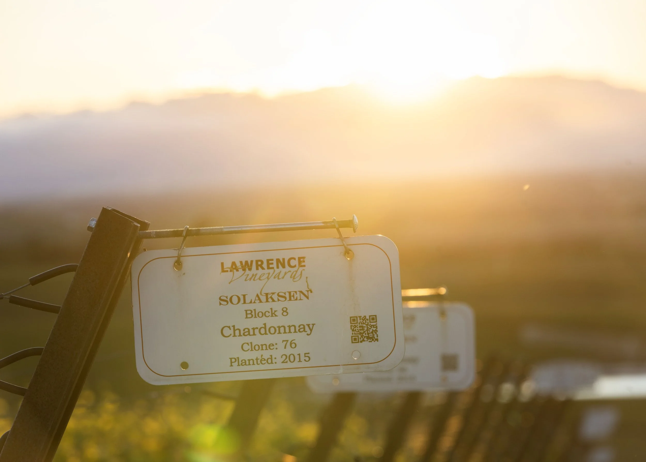Close-up of a vineyard sign with details about Chardonnay, including clone 76, planted in 2015, against a sunset or sunrise background.