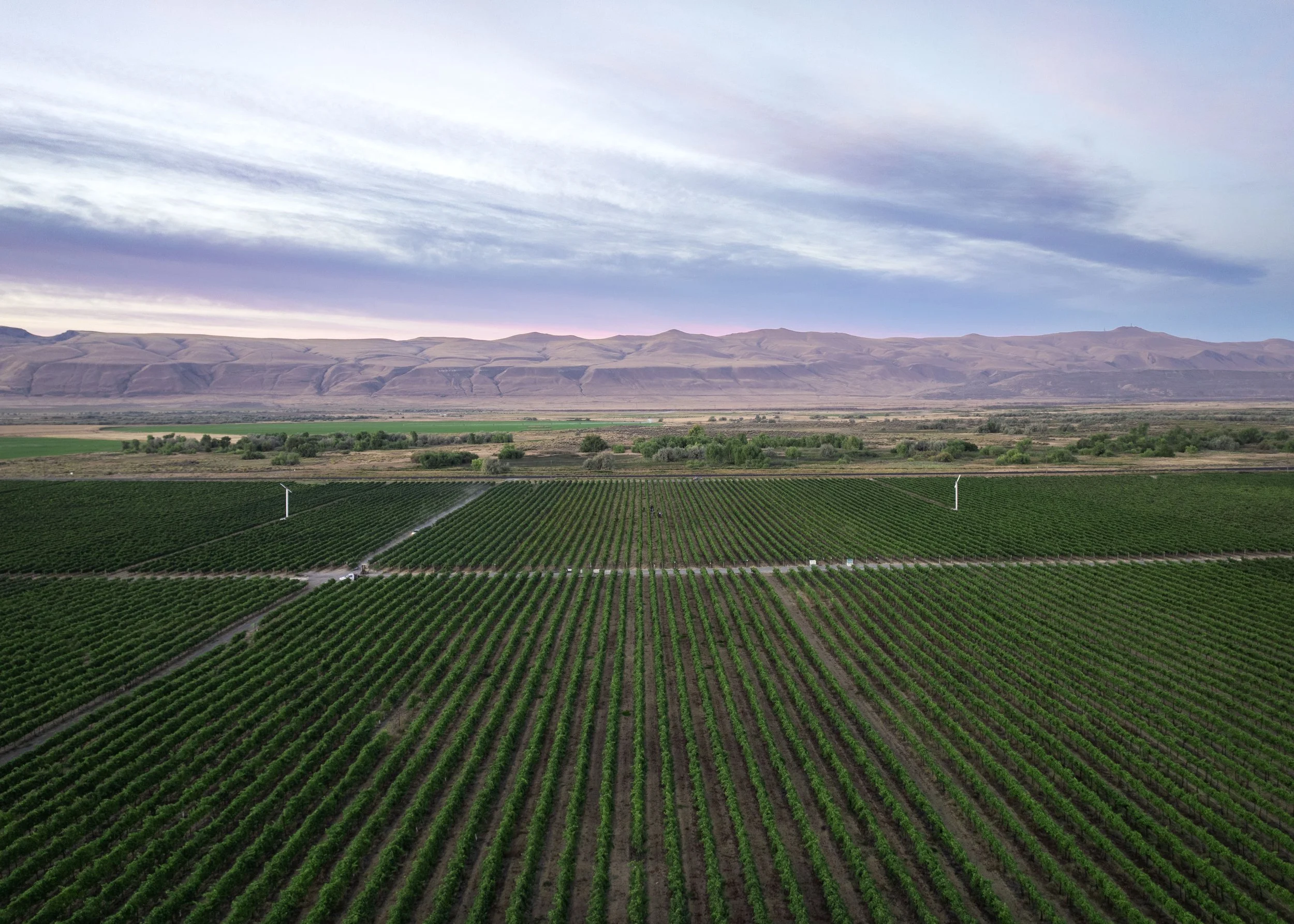 A vast agricultural landscape with neatly aligned crops, wind turbines, rolling hills, mountains in the background, and a cloudy sky overcast.