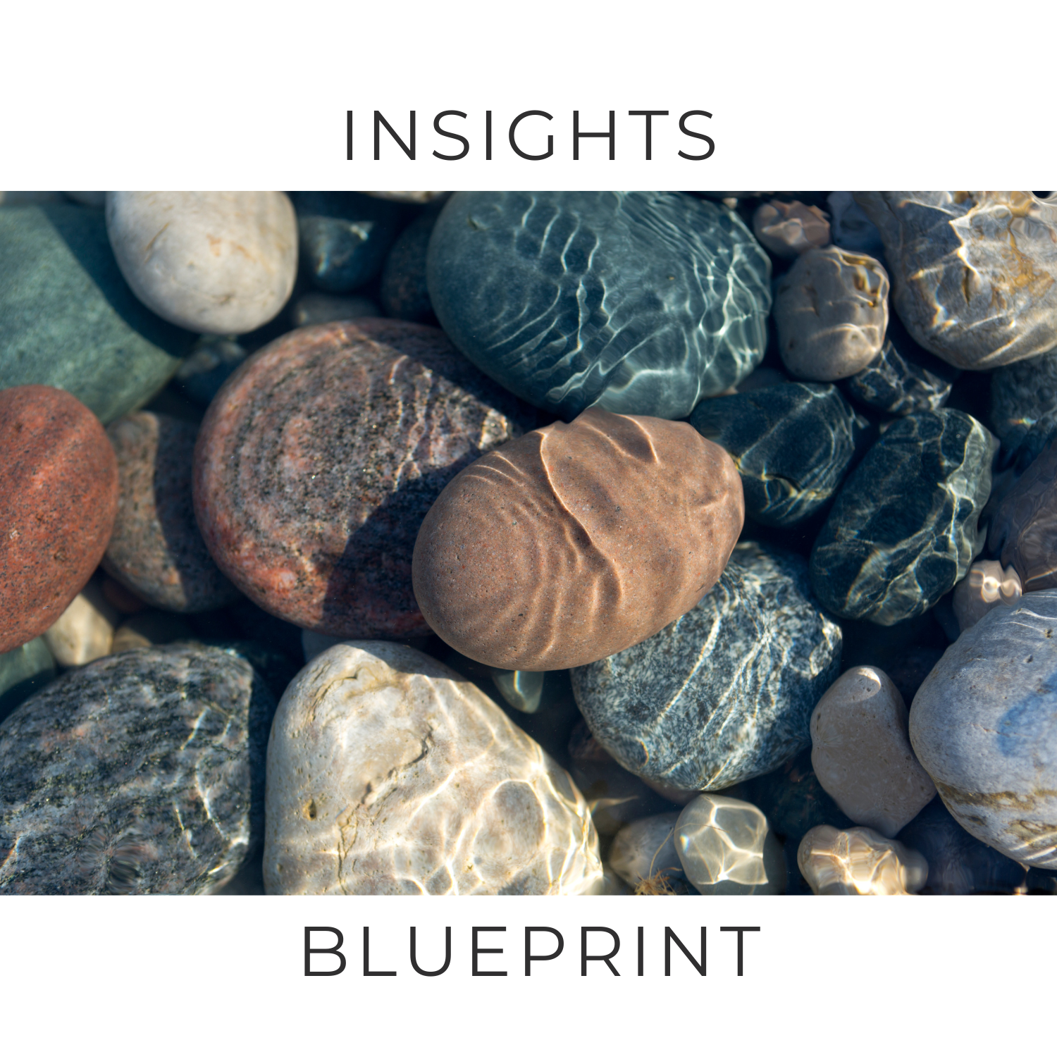 Insights Blueprint Featured Image.png