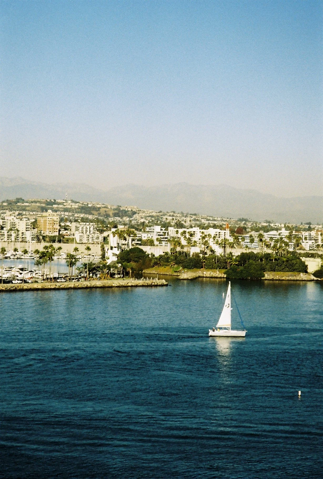 IMG_3635.JPG