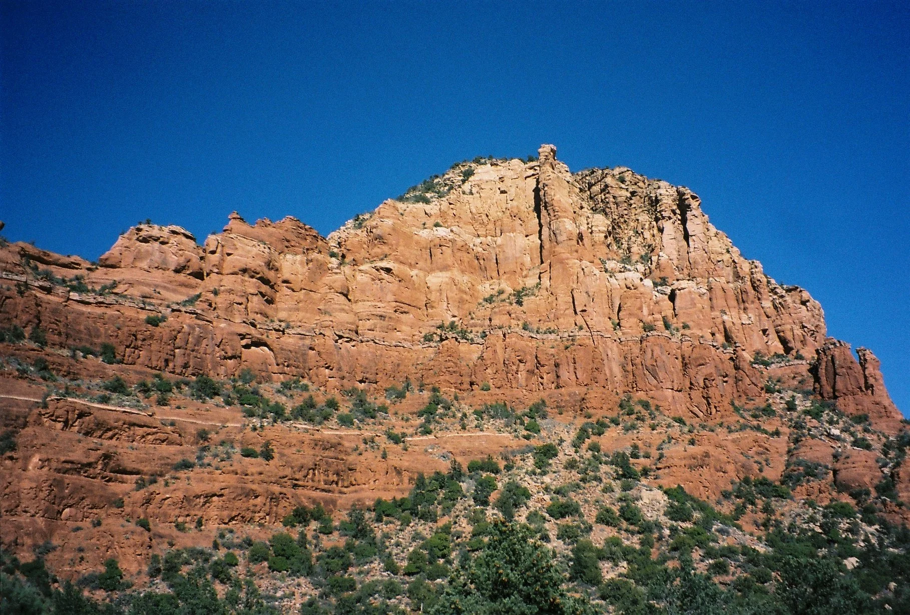 IMG_8937.JPG