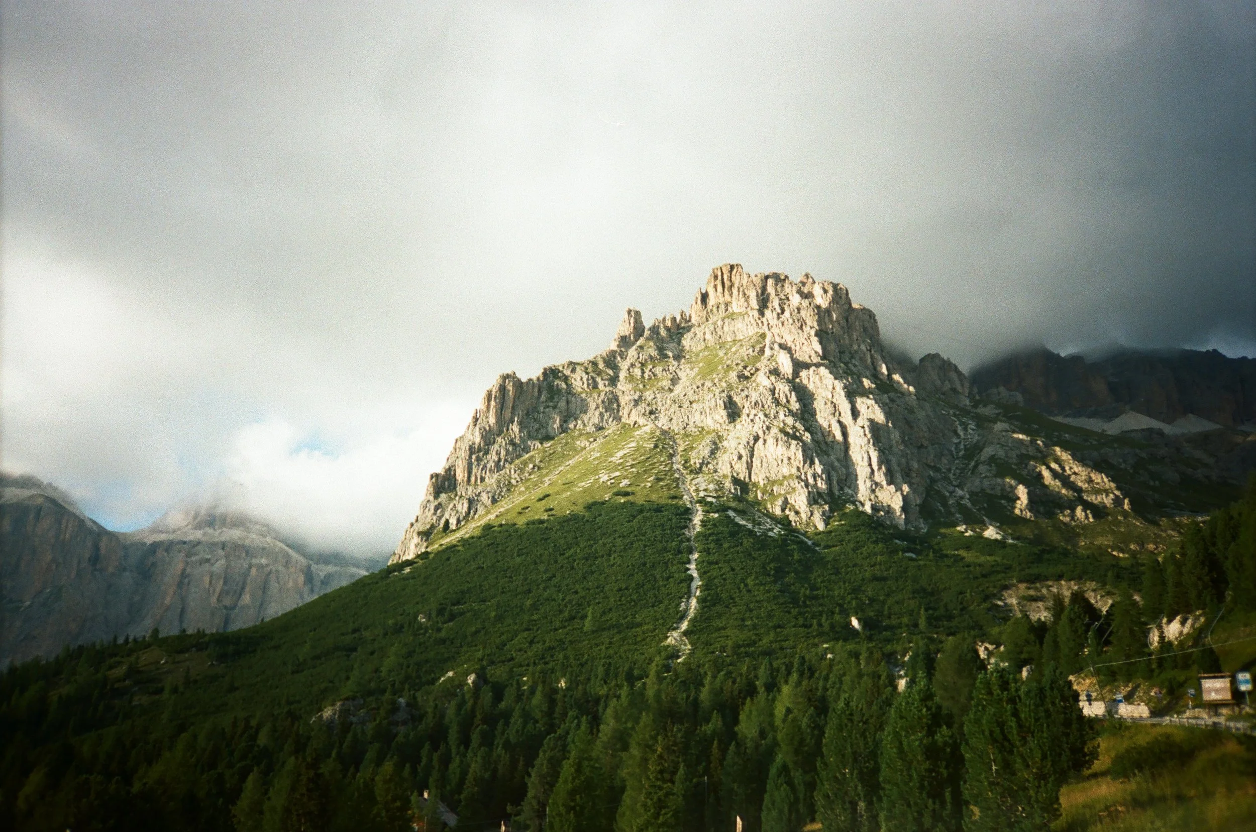 IMG_3410.JPG