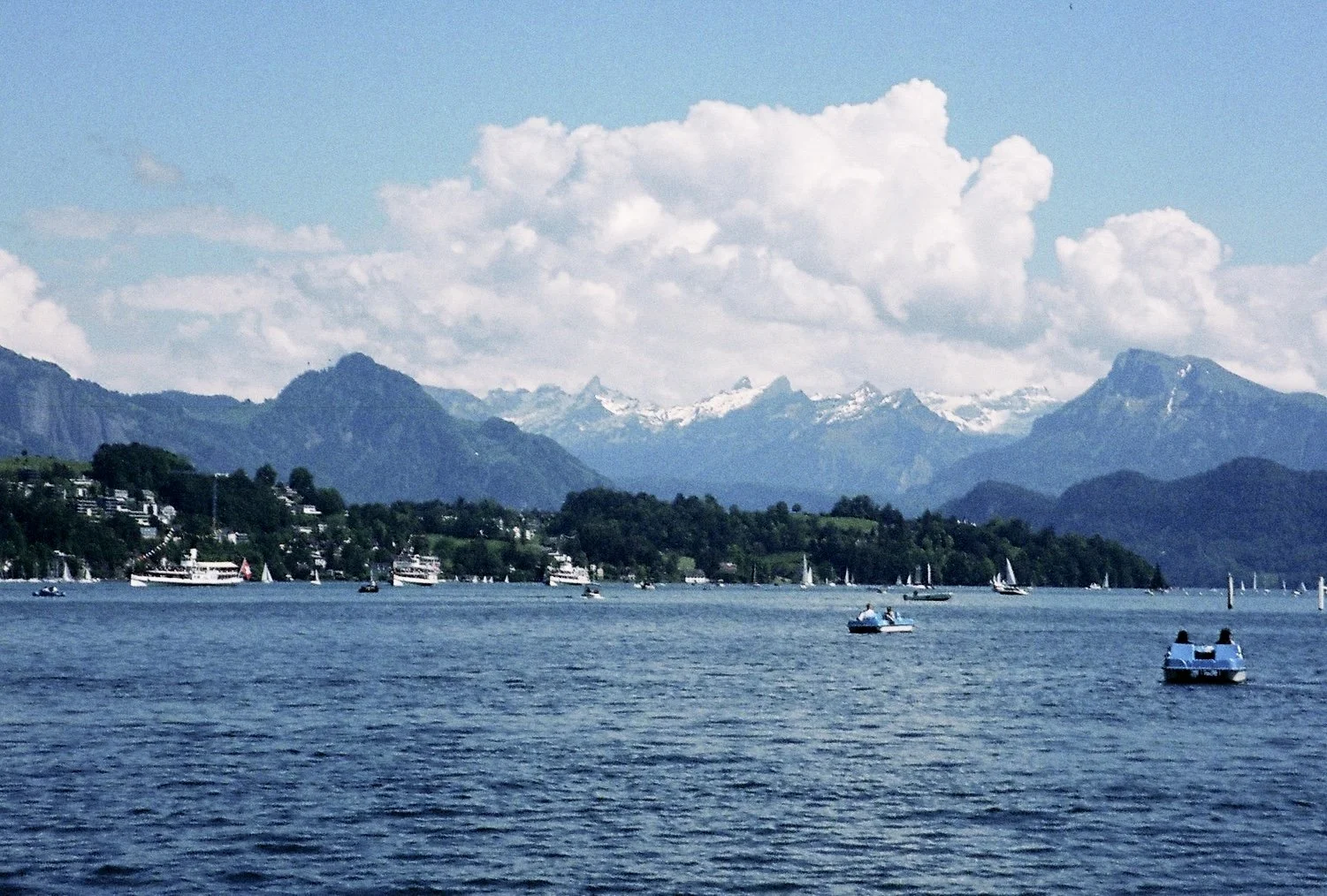 IMG_7678.jpg