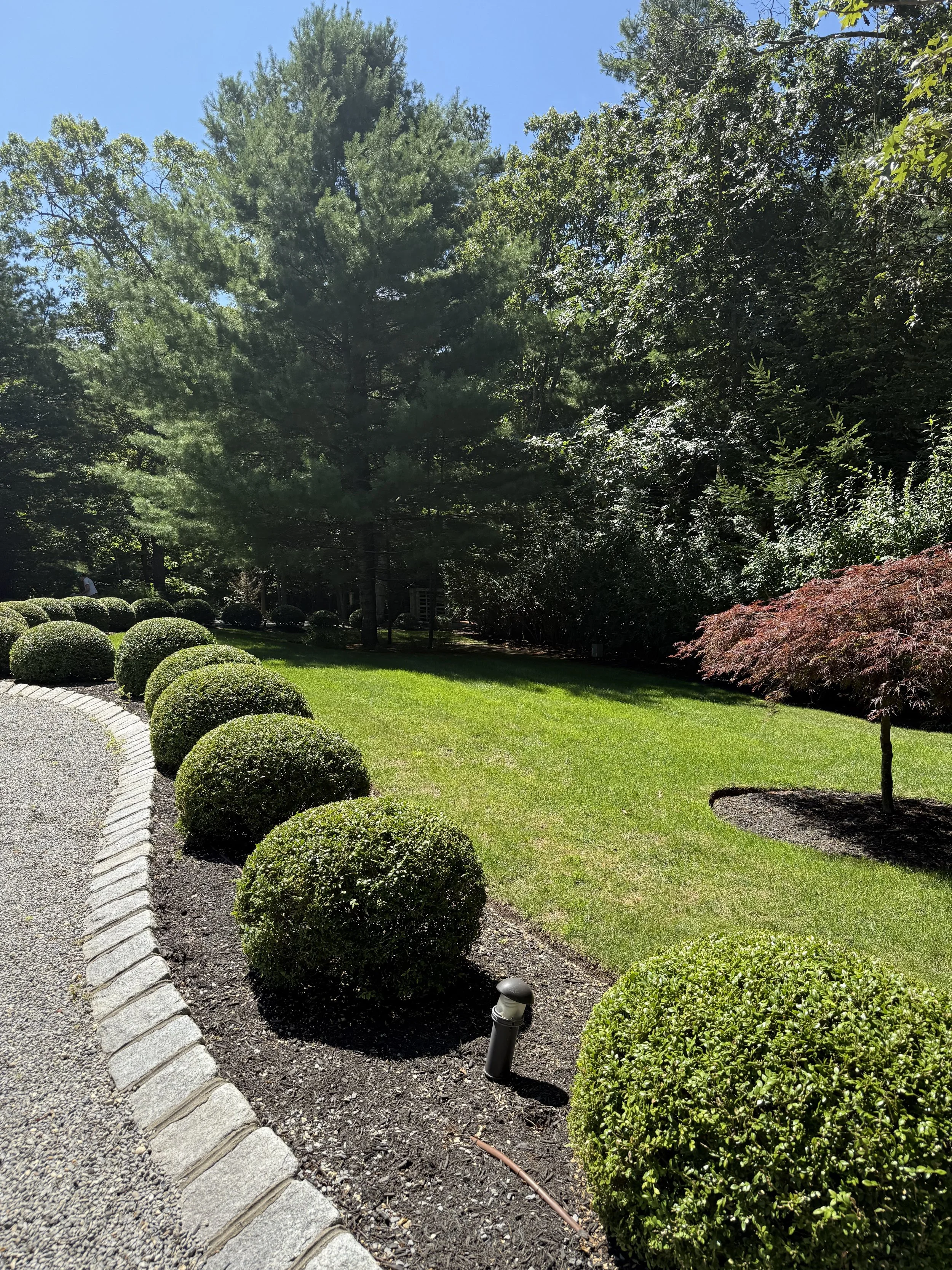 A well-maintained garden with a curved stone border, green grass, small neatly trimmed bushes, and taller trees in the background under a clear blue sky.