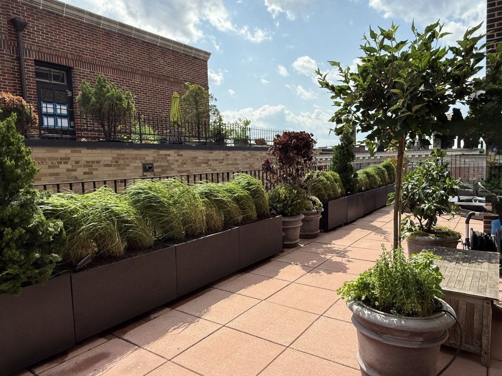 Sunny balcony with potted plants and trees on a tiled floor, overlooking a brick building with a sky backdrop.