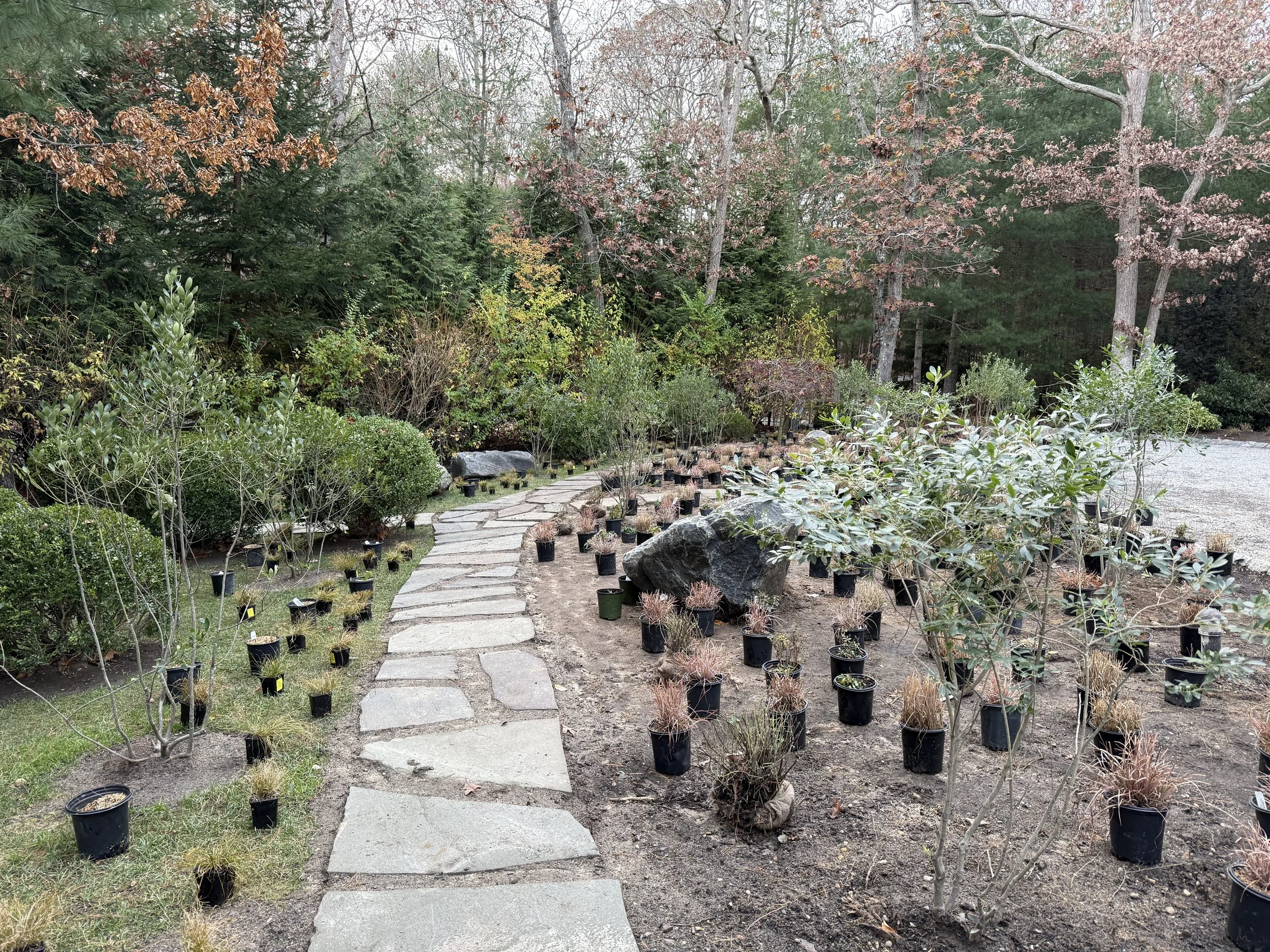 Garden with a stone pathway, potted plants, and trees with some leaves falling, indicating autumn.