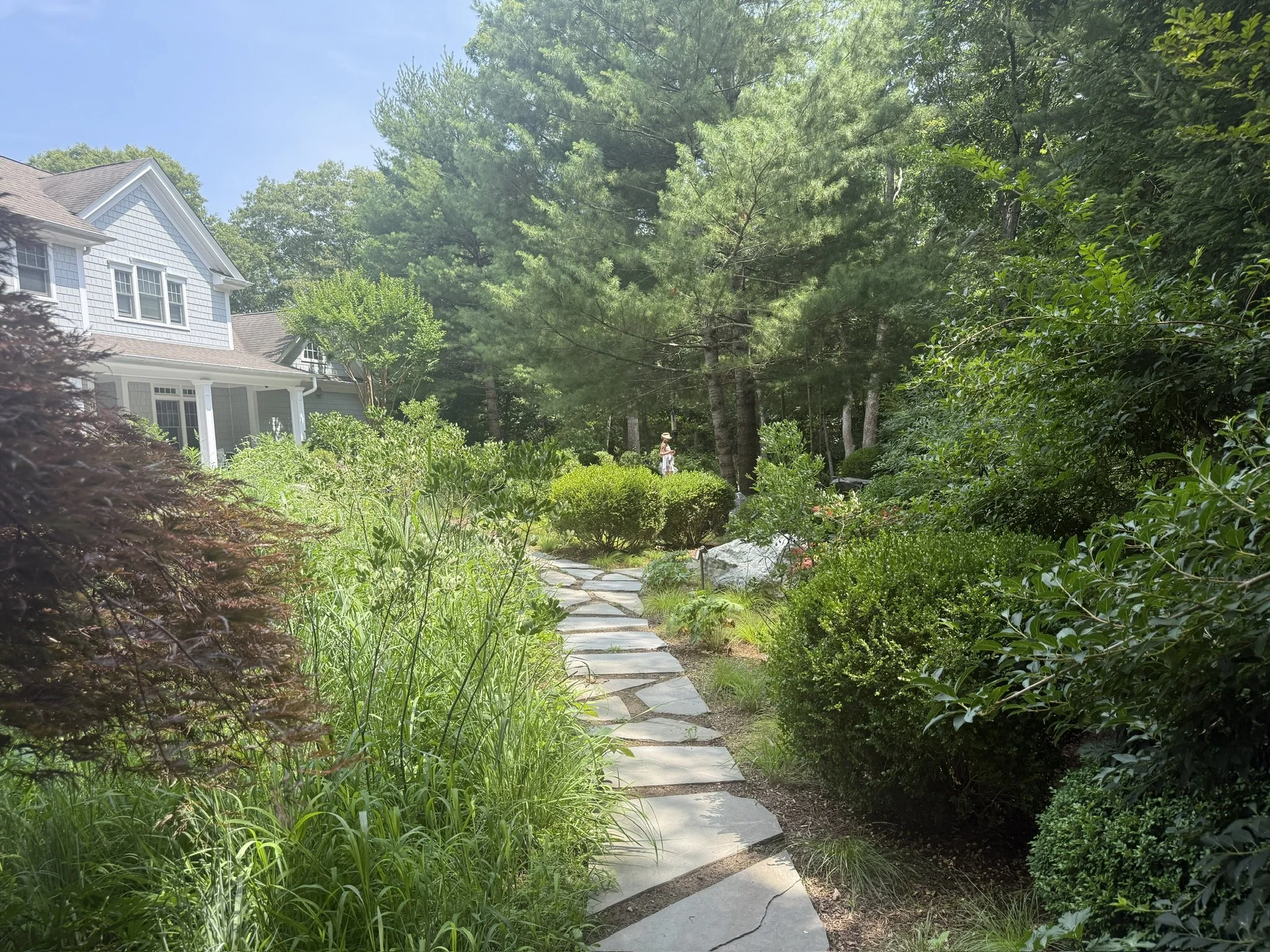 A pathway made of irregular stone slabs winds through a lush garden with dense green shrubbery and trees, in front of a house with light blue siding and white trim.