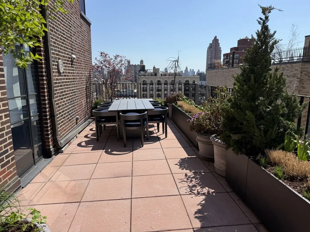 Rooftop patio with a dining table and chairs, surrounded by potted plants and city skyline view in the background.