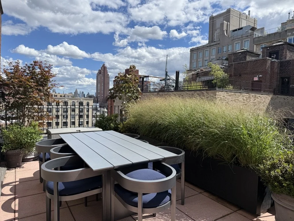 Urban rooftop patio with a modern dining table and chairs, potted plants, and city skyscrapers in the background under a partly cloudy sky.