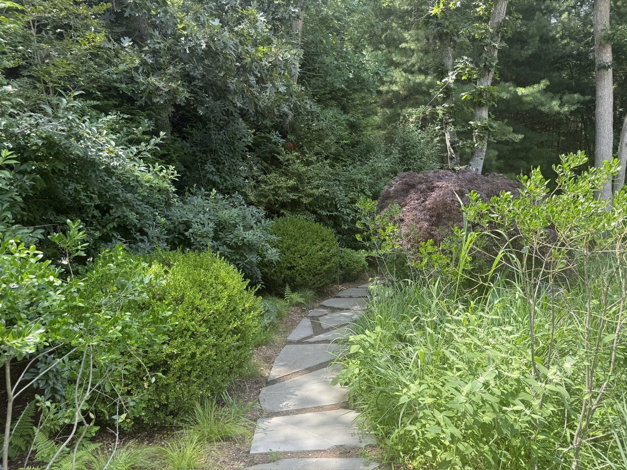 A stone pathway winding through a lush green garden with various trees, shrubs, and plants.
