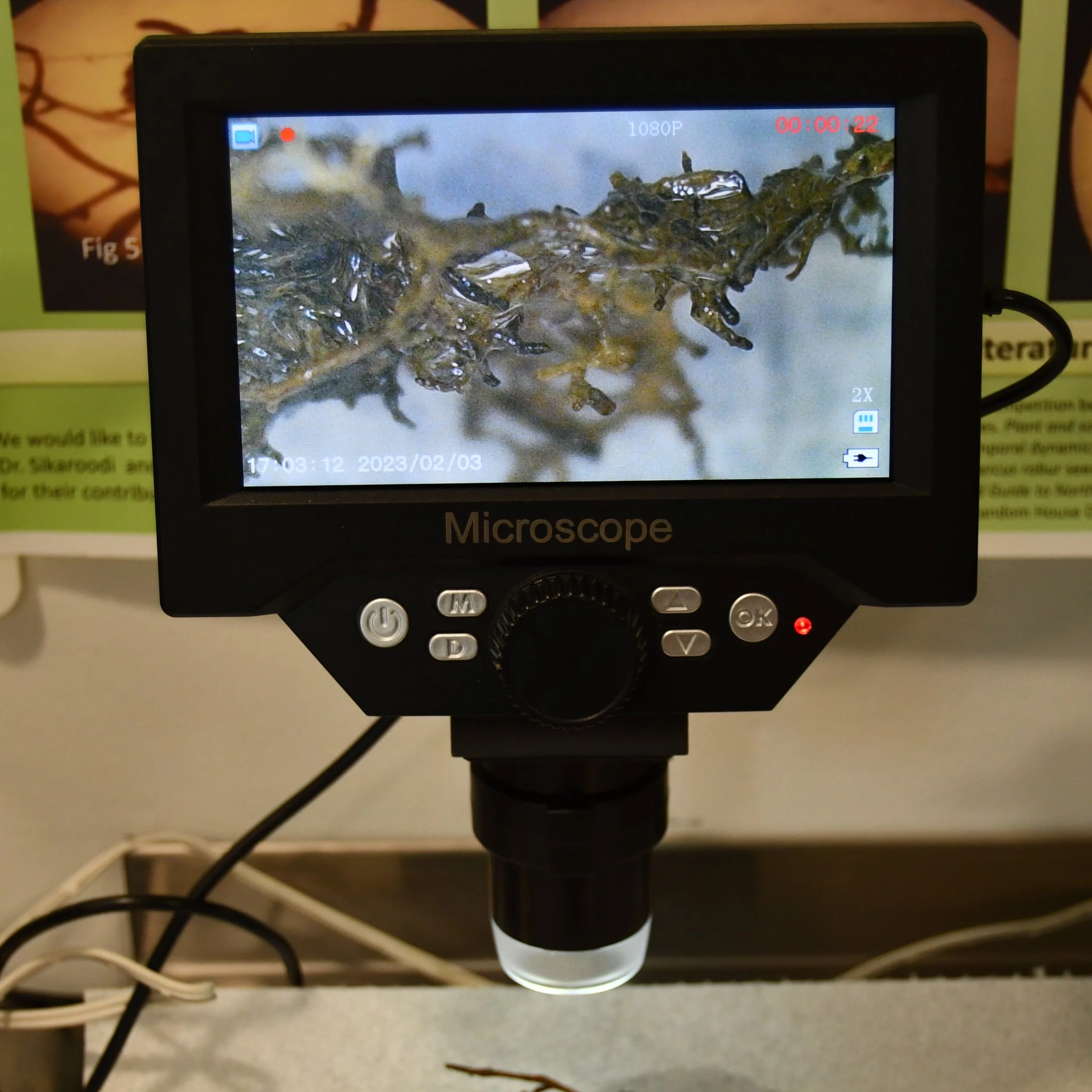 The Mycology Workshop