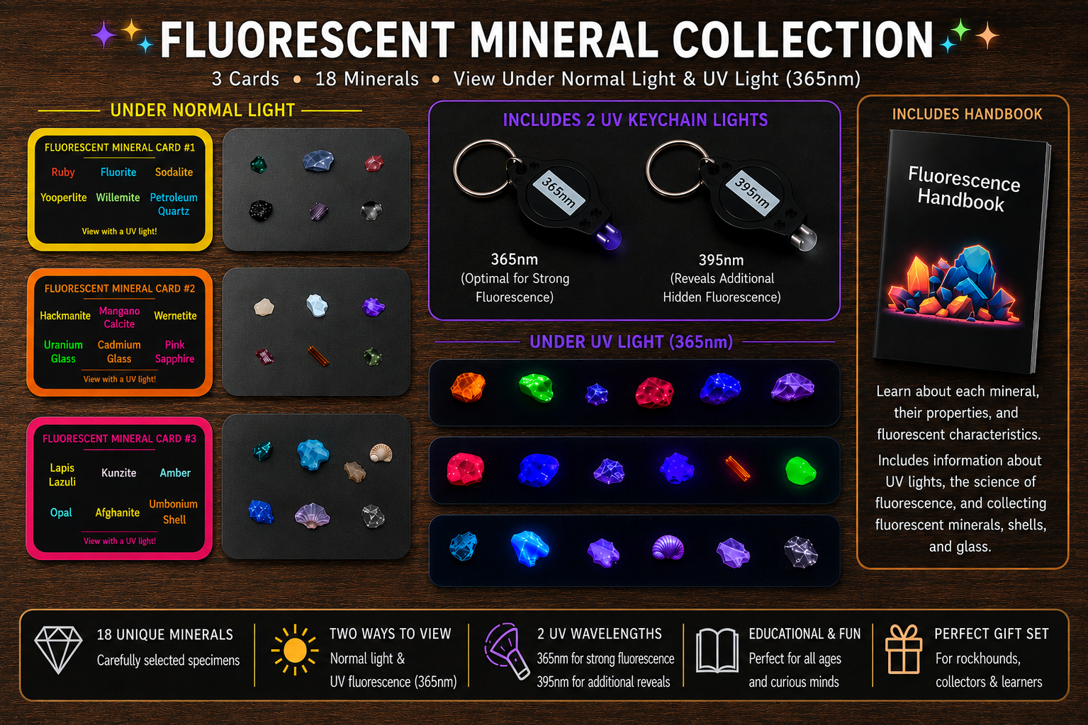 Fluorescent Mineral Collections - gemstones and shells displayed on identifying cards. Comes with two long wave UV flashlights and a handbook about the science of fluorescence and information about collecting.