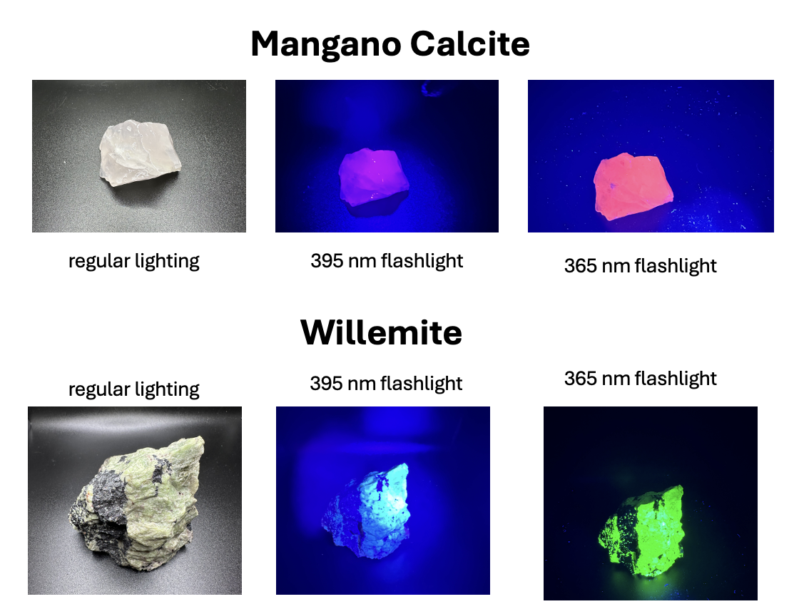 Comparison of two mineral samples, Manganese Calcite and Willemite, under normal light and UV flashlight, showing different fluorescence colors.