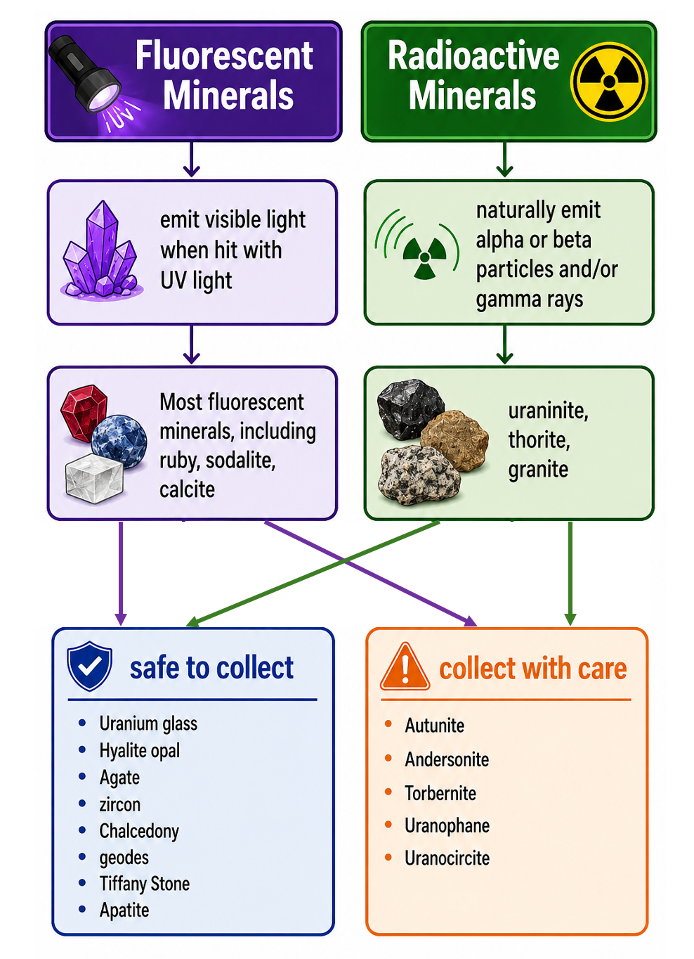 Diagram comparing fluorescent and radioactive minerals. Fluorescent minerals emit visible light when hit with UV light, including ruby, sodalite, and calcite. Radioactive minerals naturally emit alpha or beta particles and gamma rays, including uraninite, thorite, and granite. Safe minerals to collect listed on the left include uranium glass and amethyst. Collect with care minerals listed on the right include autunite and uranocircite.