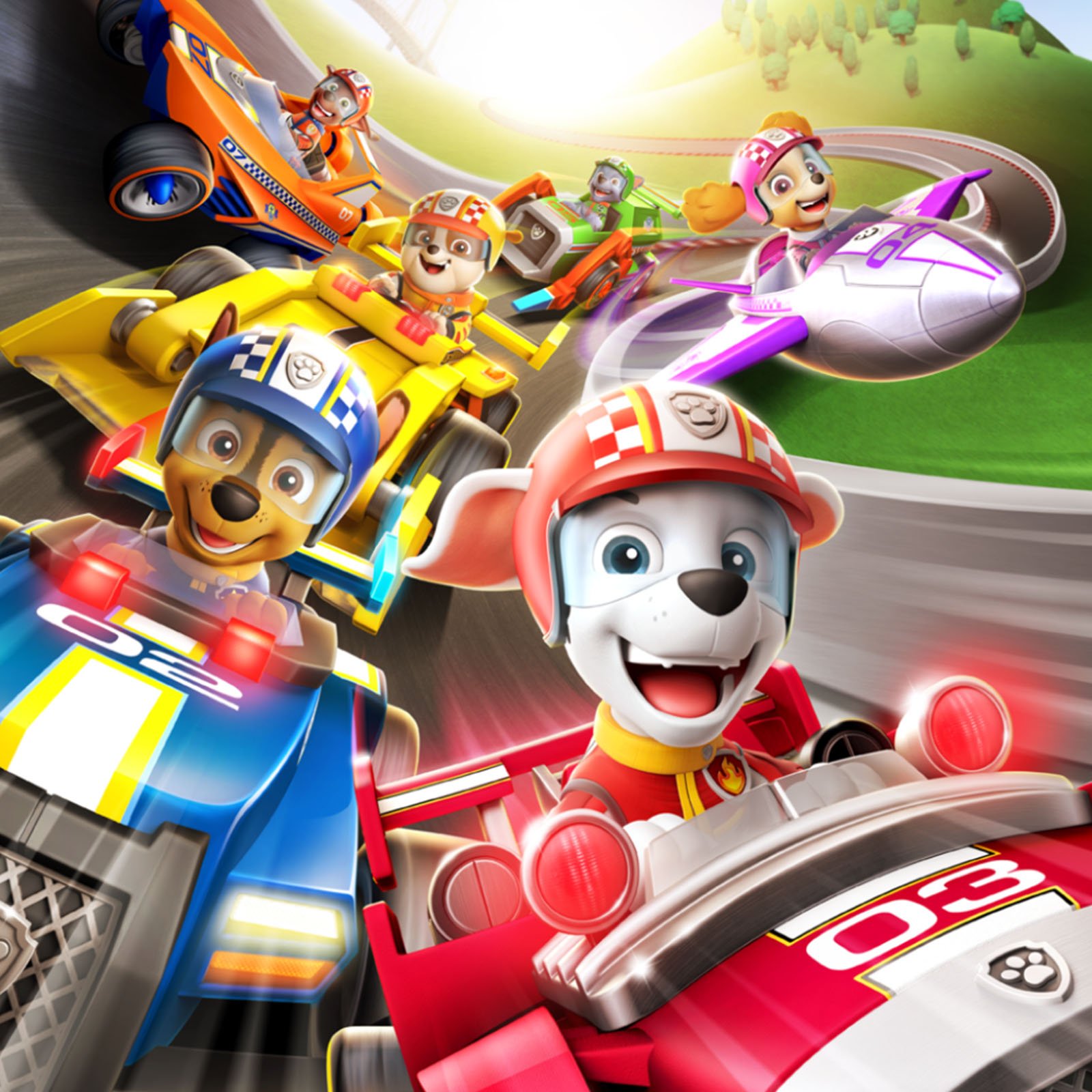 Paw Patrol Portfolio