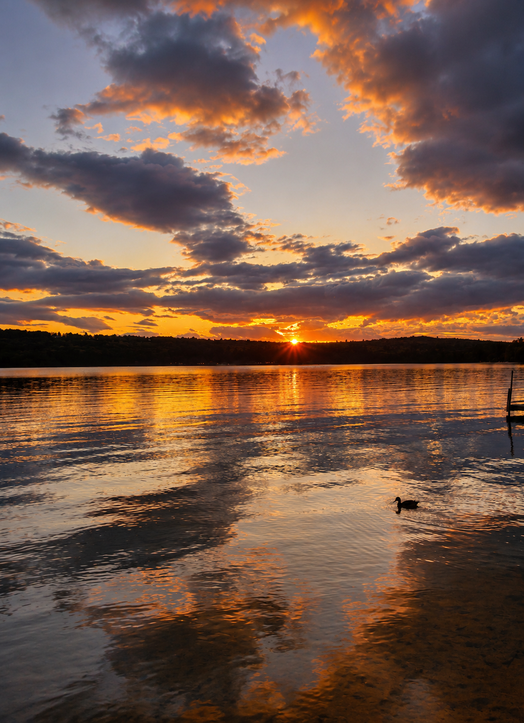 Golden sunset over Crystal Lake in Harrison, Maine, creating a stunning waterfront backdrop for engagement photos, family portraits, and professional photo shoots.