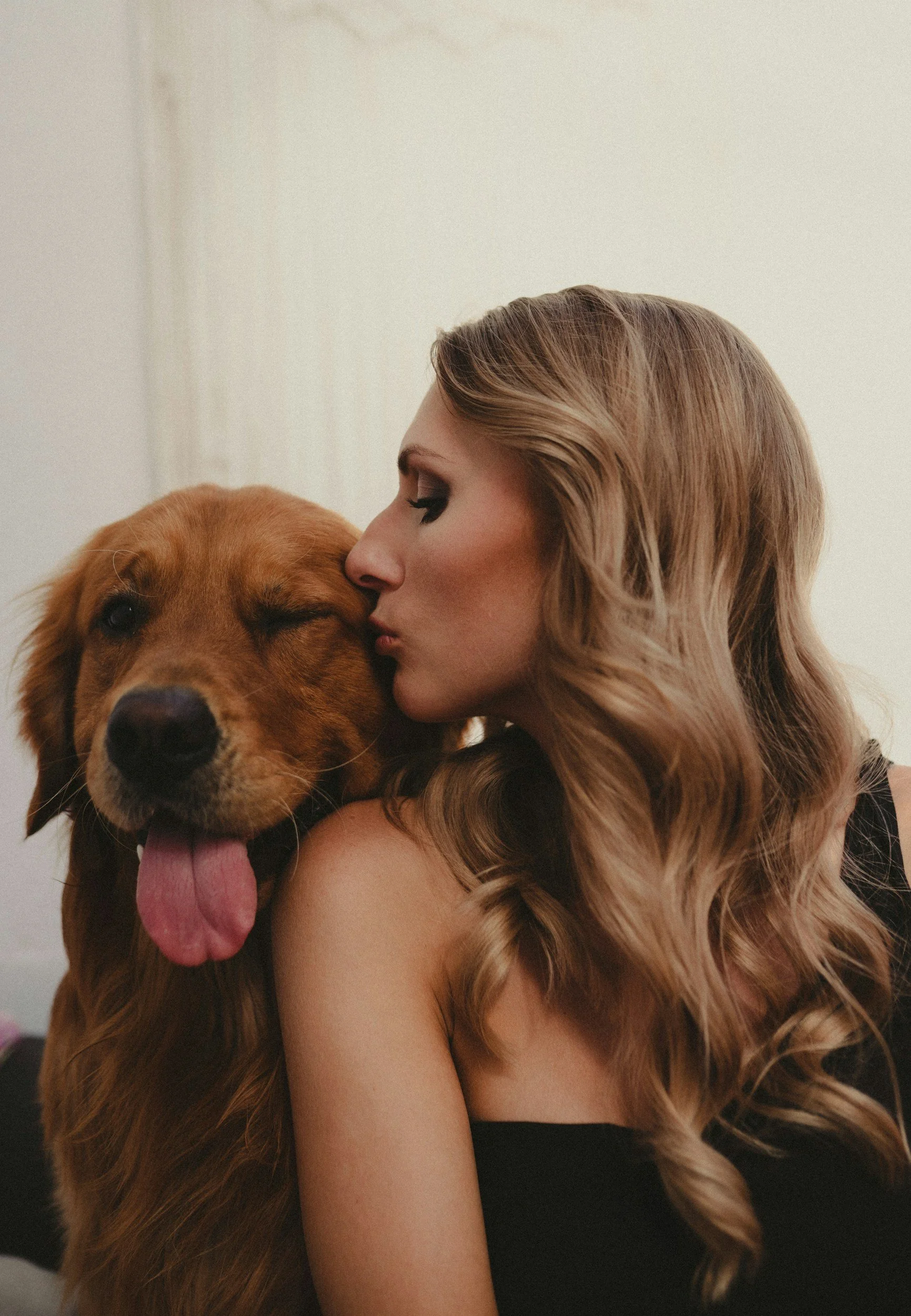 animal communicaiton, animal energy healing