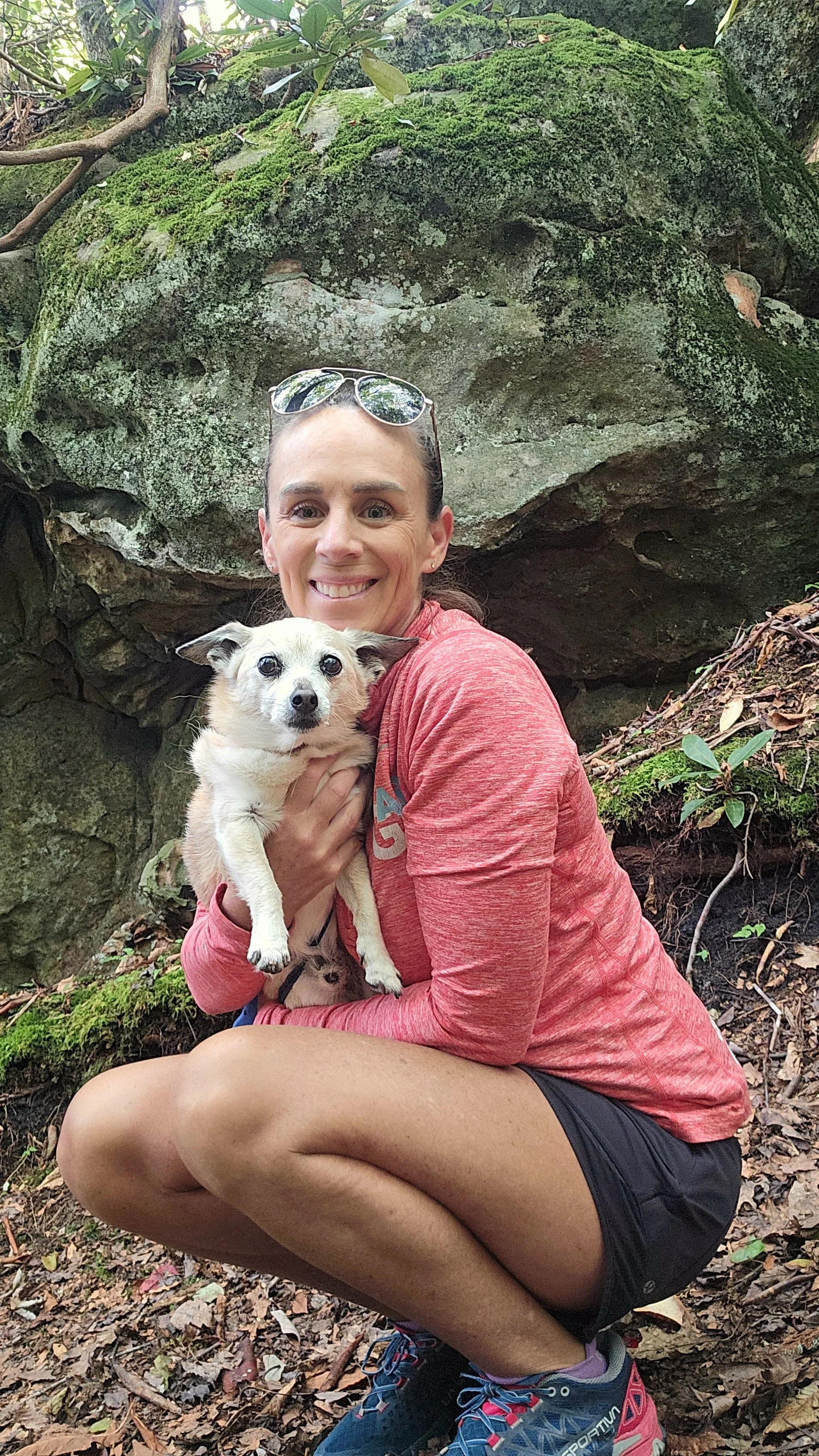 SW Virginia Animal communication, pet psychic, animal intuitive