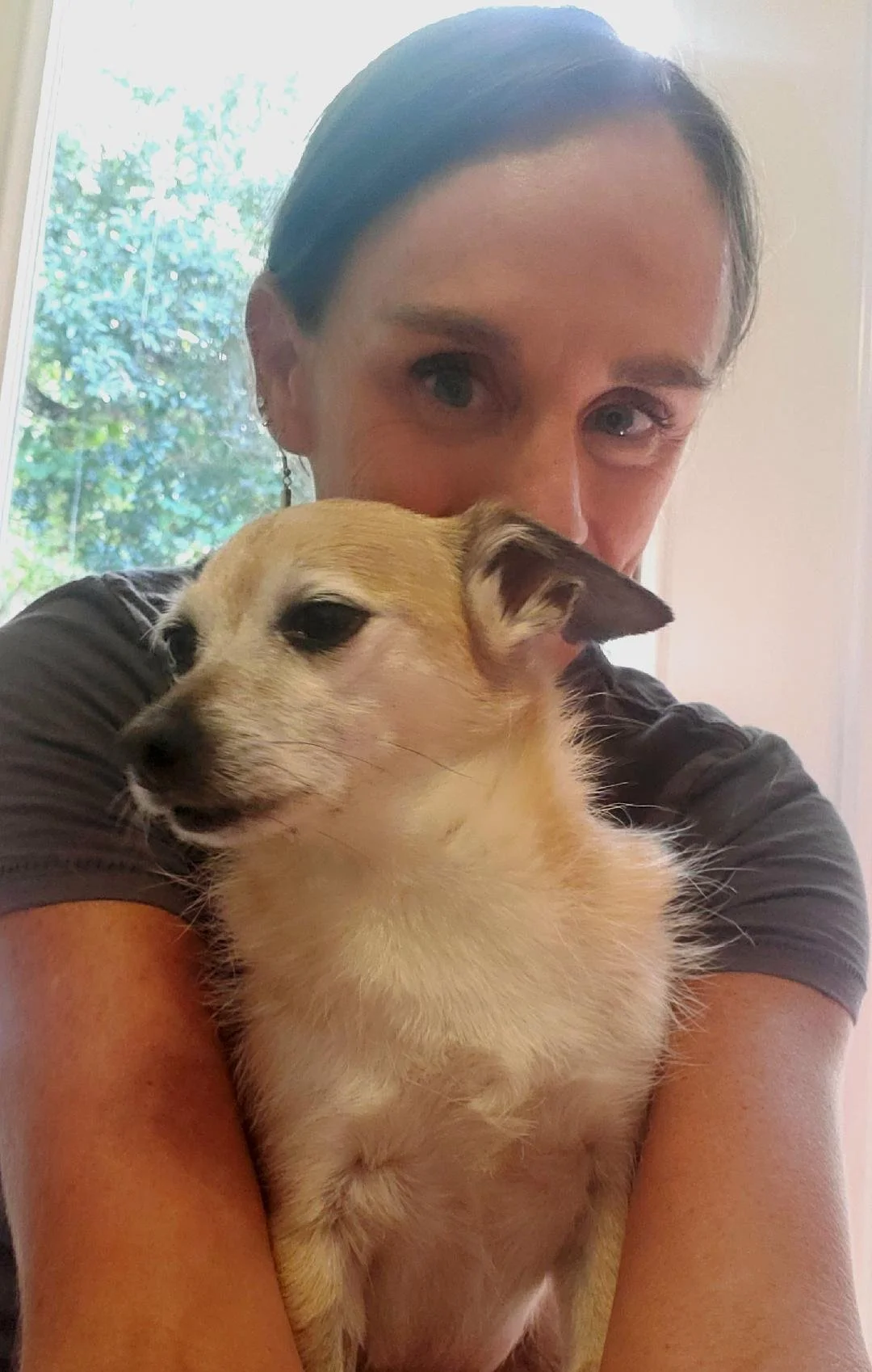 Donation based animal communication