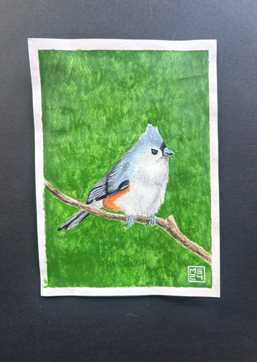 Tufted Titmouse Watercolor