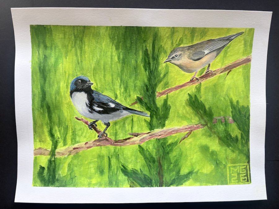 Black-throated Blue Warbler pair painting