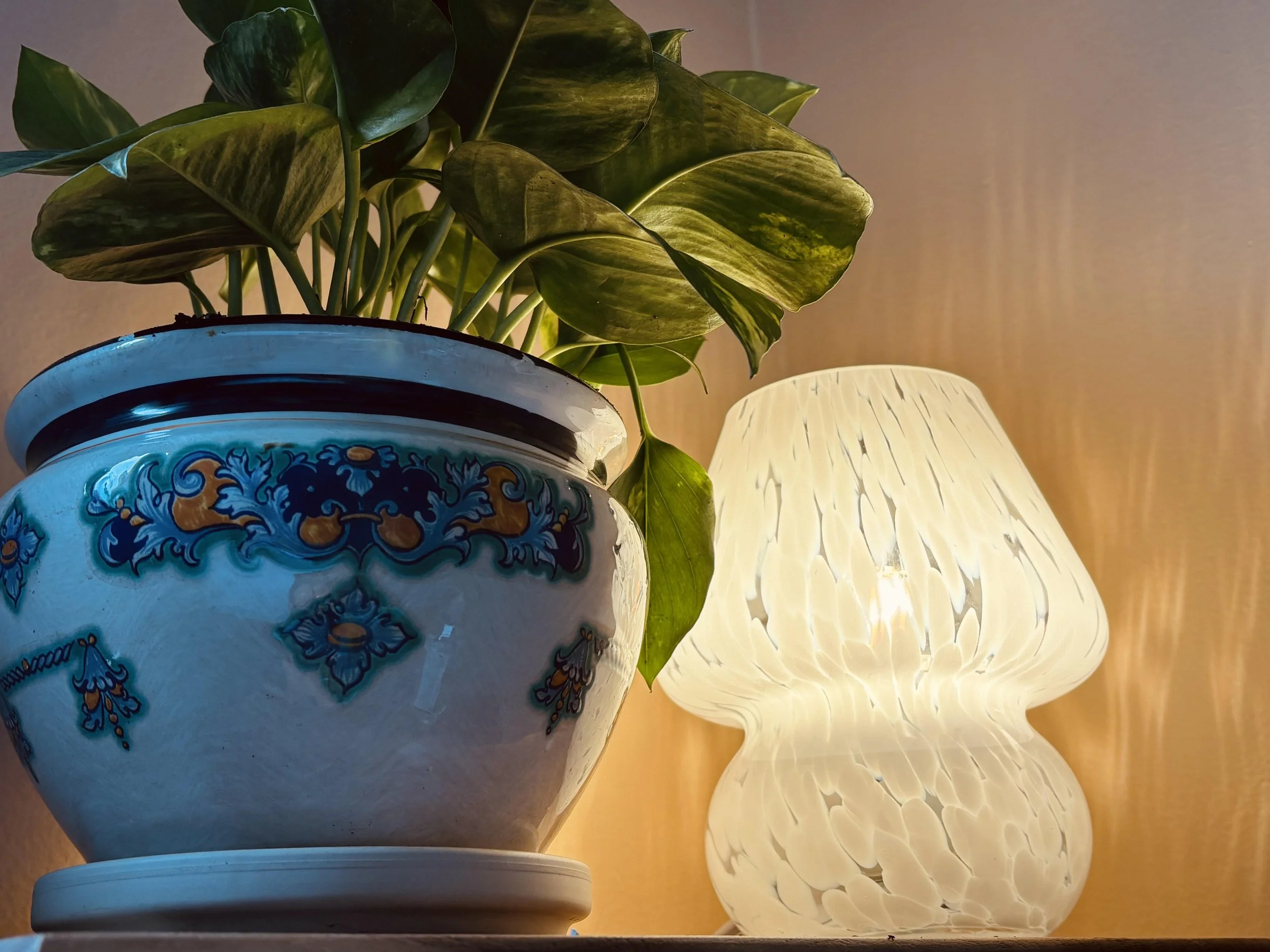 A potted green houseplant with large, variegated leaves on a table next to a white, textured lampshade that is turned on, illuminating the scene with warm light.