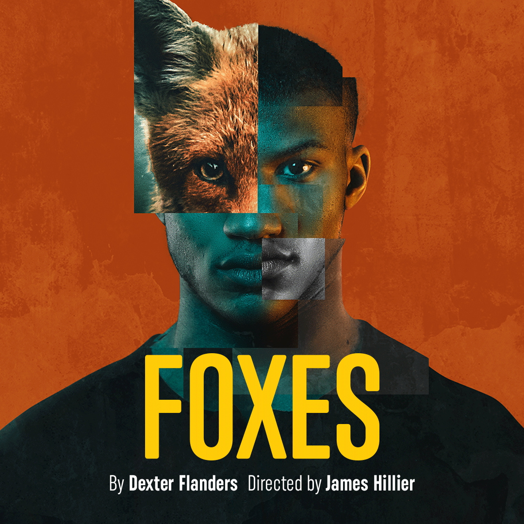 Foxes