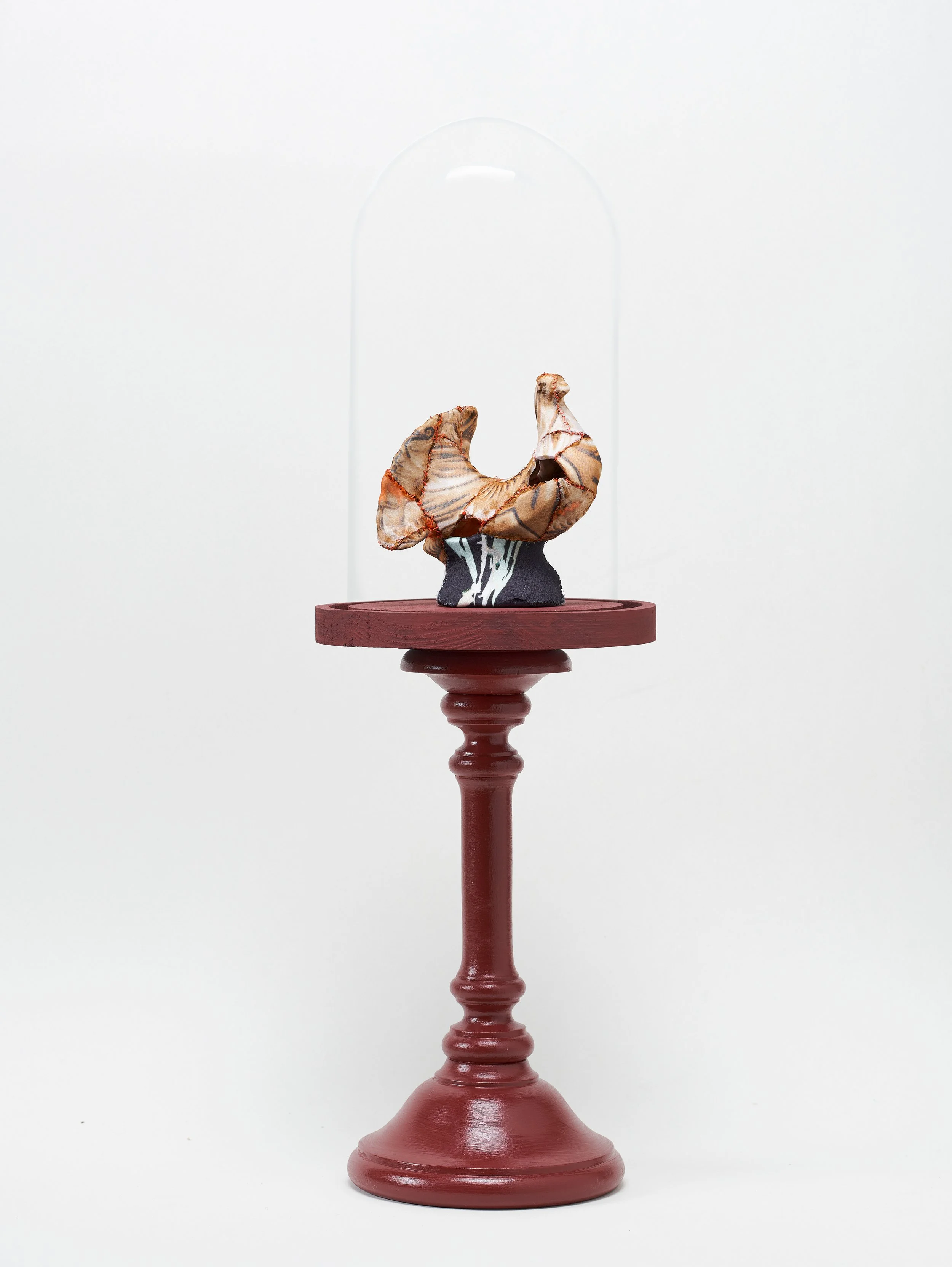 Orange Dove / 
Ceramic sewn with fabric and thread, wooden base and glass case.
27 x 17 cm
2025