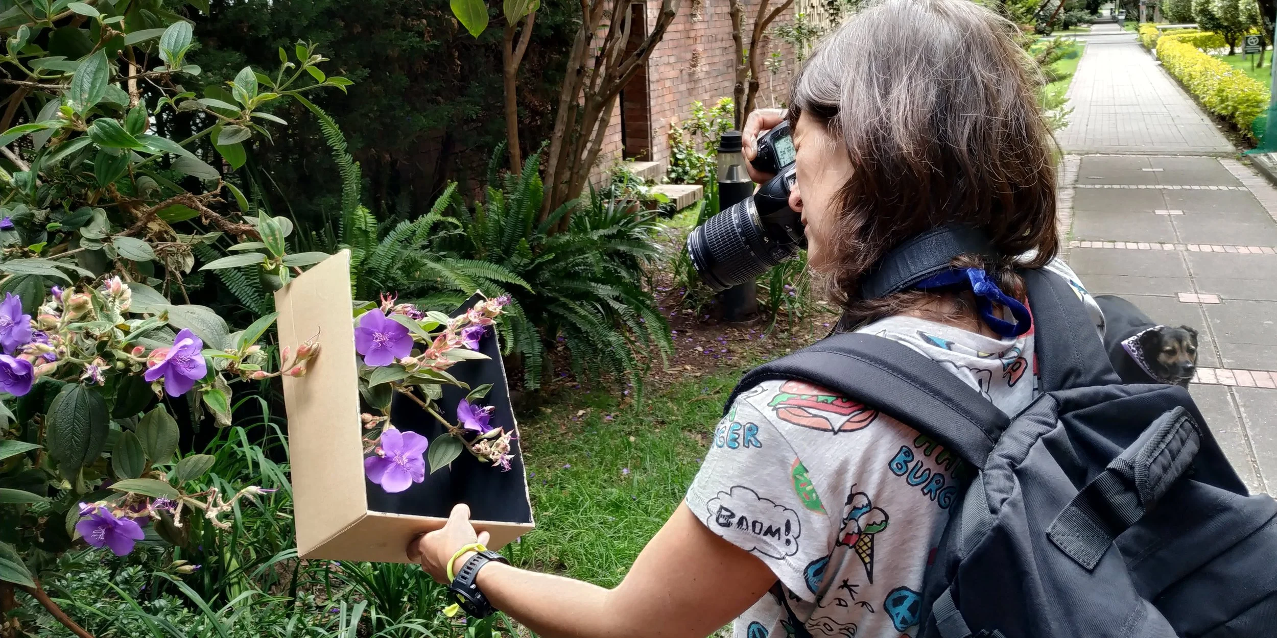 Proceso flores 4.jpg
