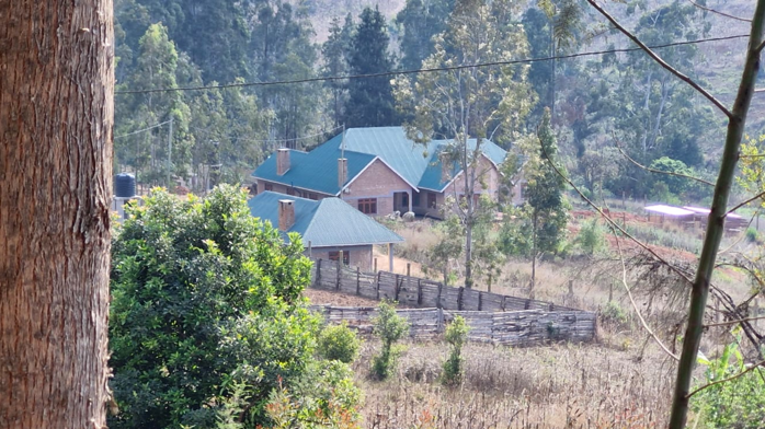 A house with blue roofing surrounded by trees and a wooden fence in a rural setting.