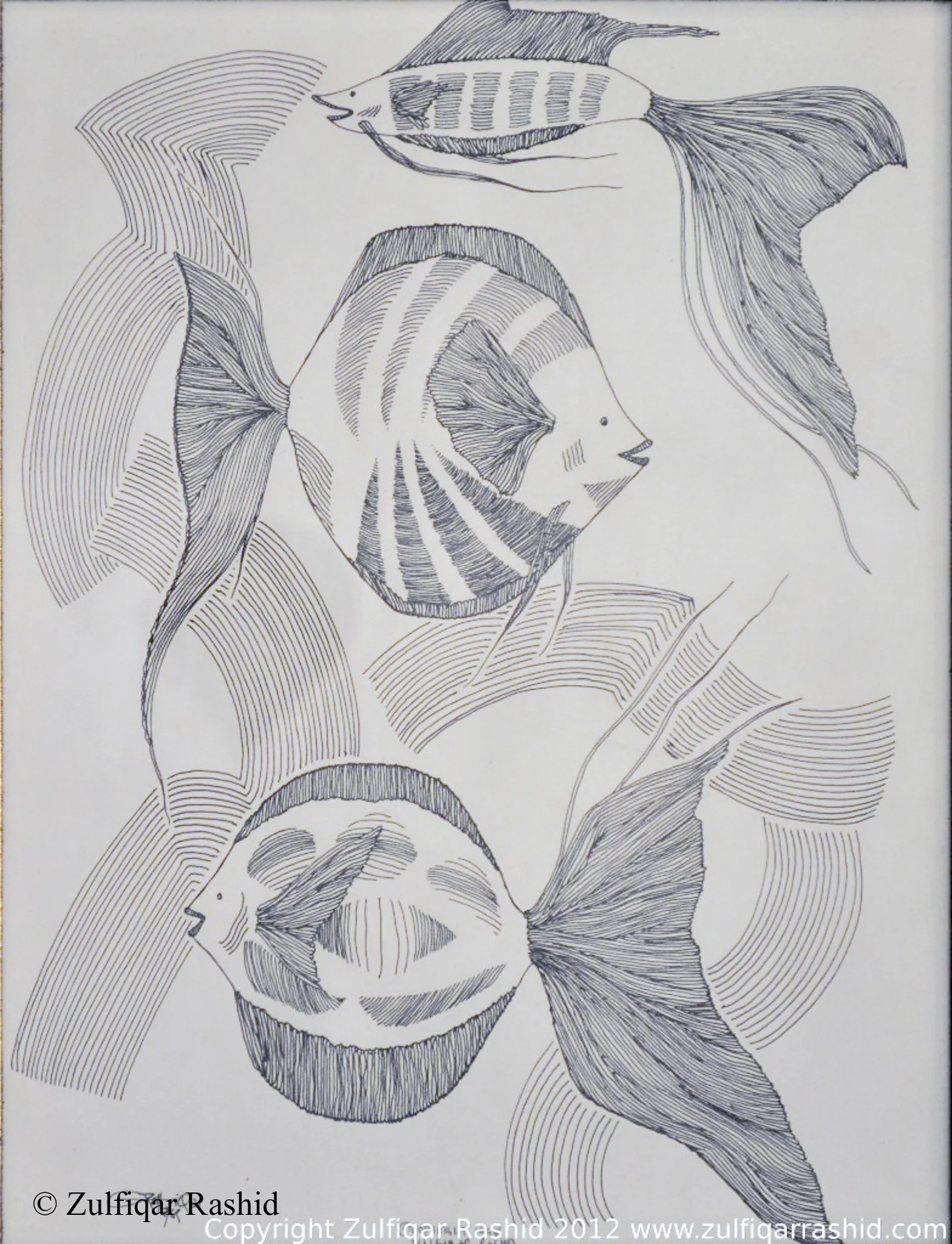 FIshes #3 (8.5x11)