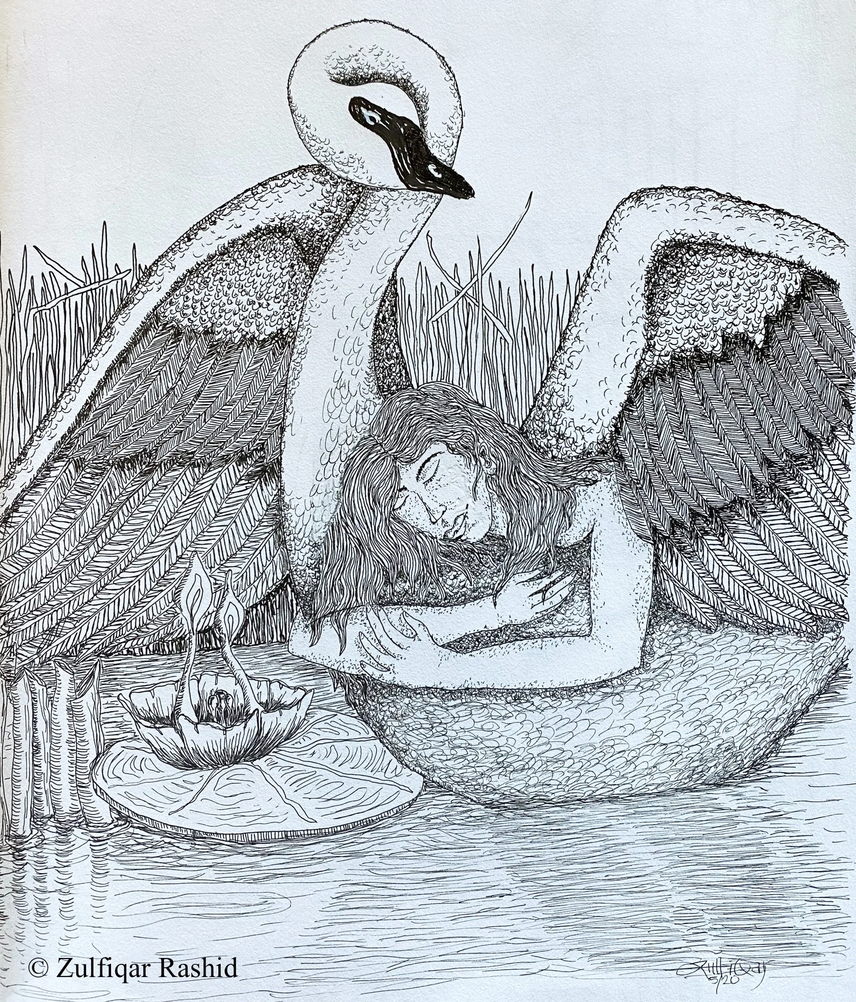 Lady and Swan (8.5x11)