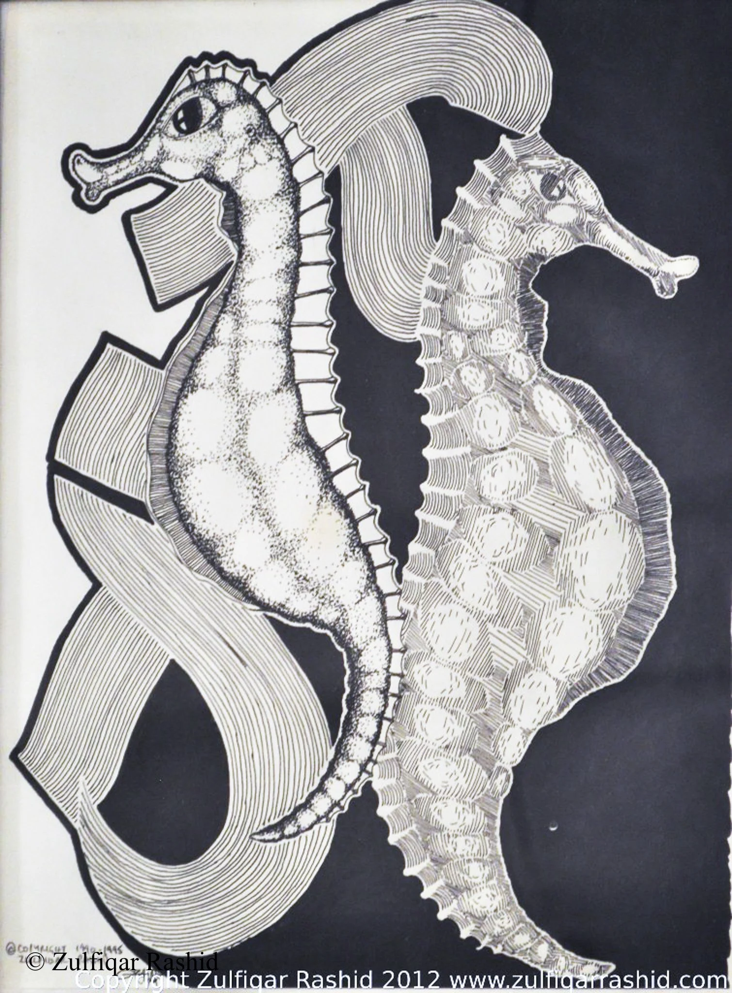 Sea Horses (8.5x11)