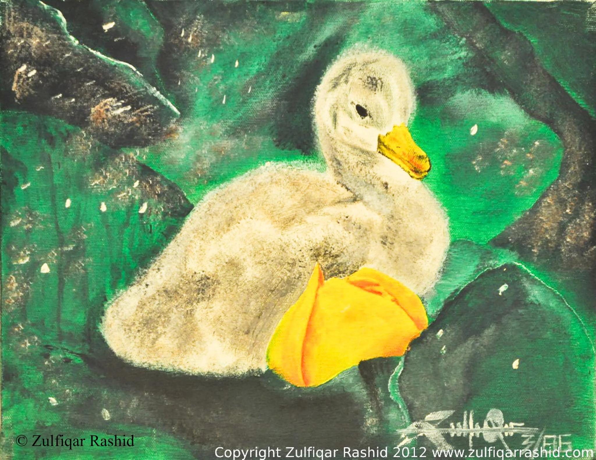 Duckling (12x10)