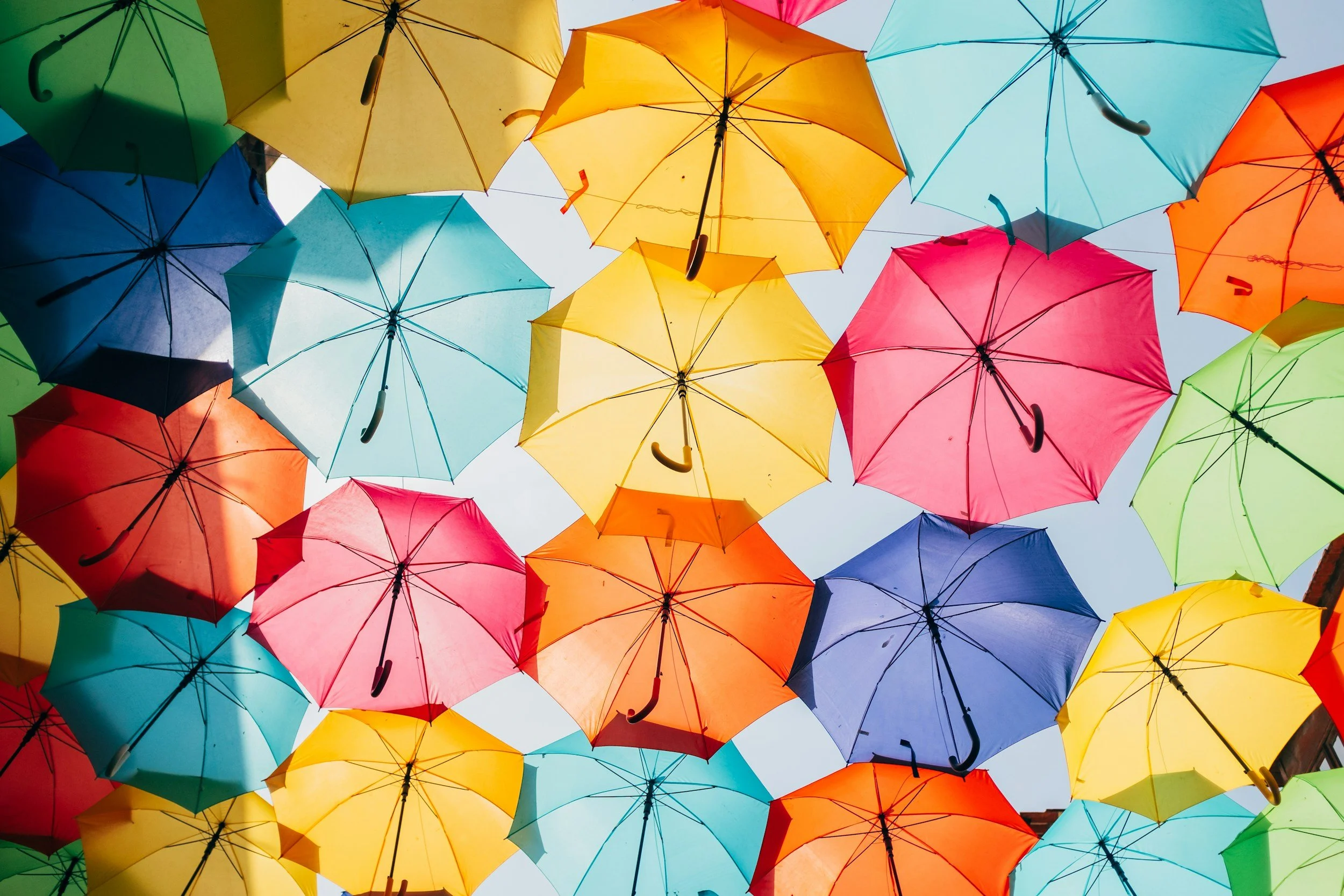 A Tale of Two Models: Fiscal Sponsorship