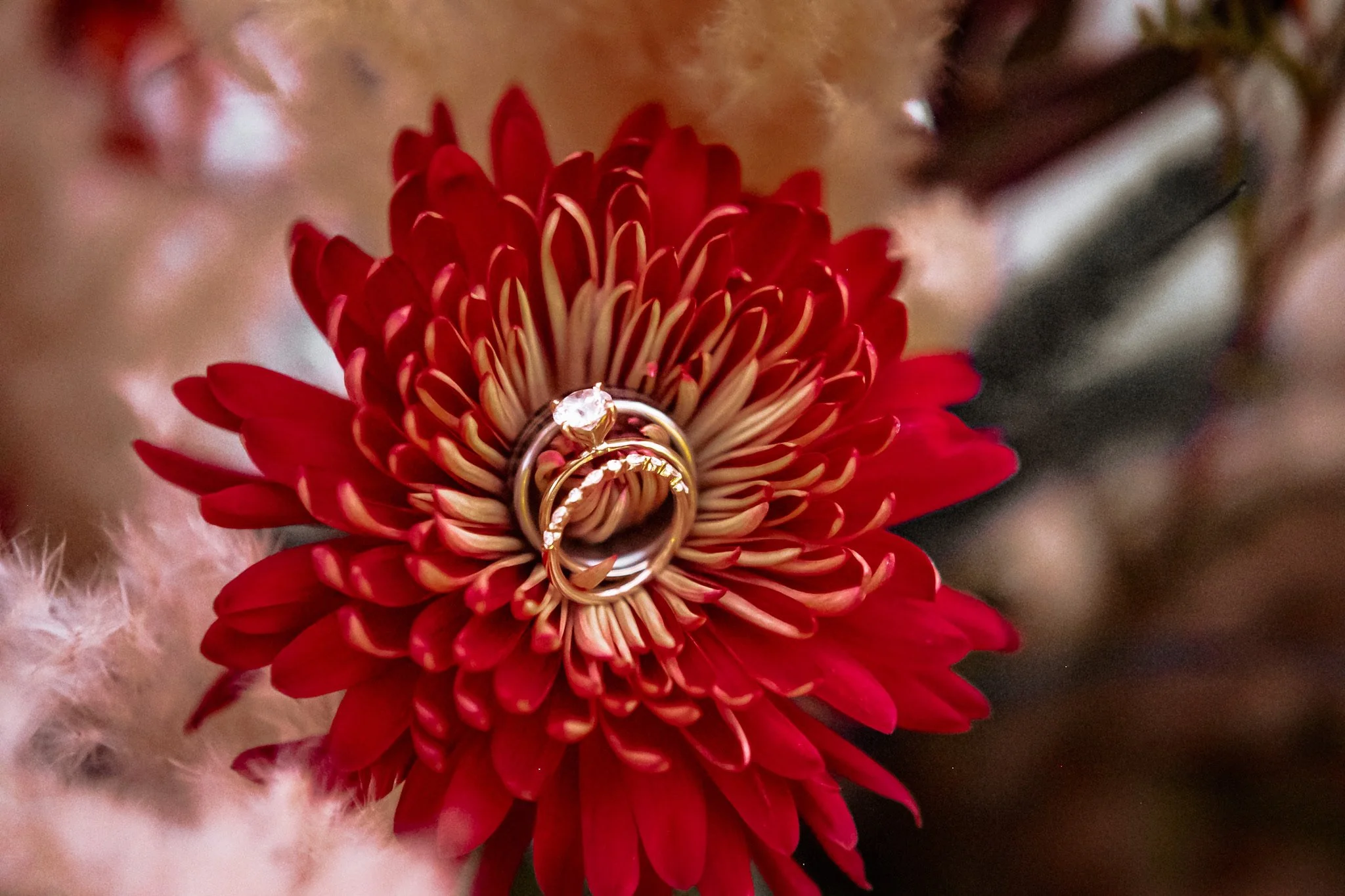 Wedding Photography