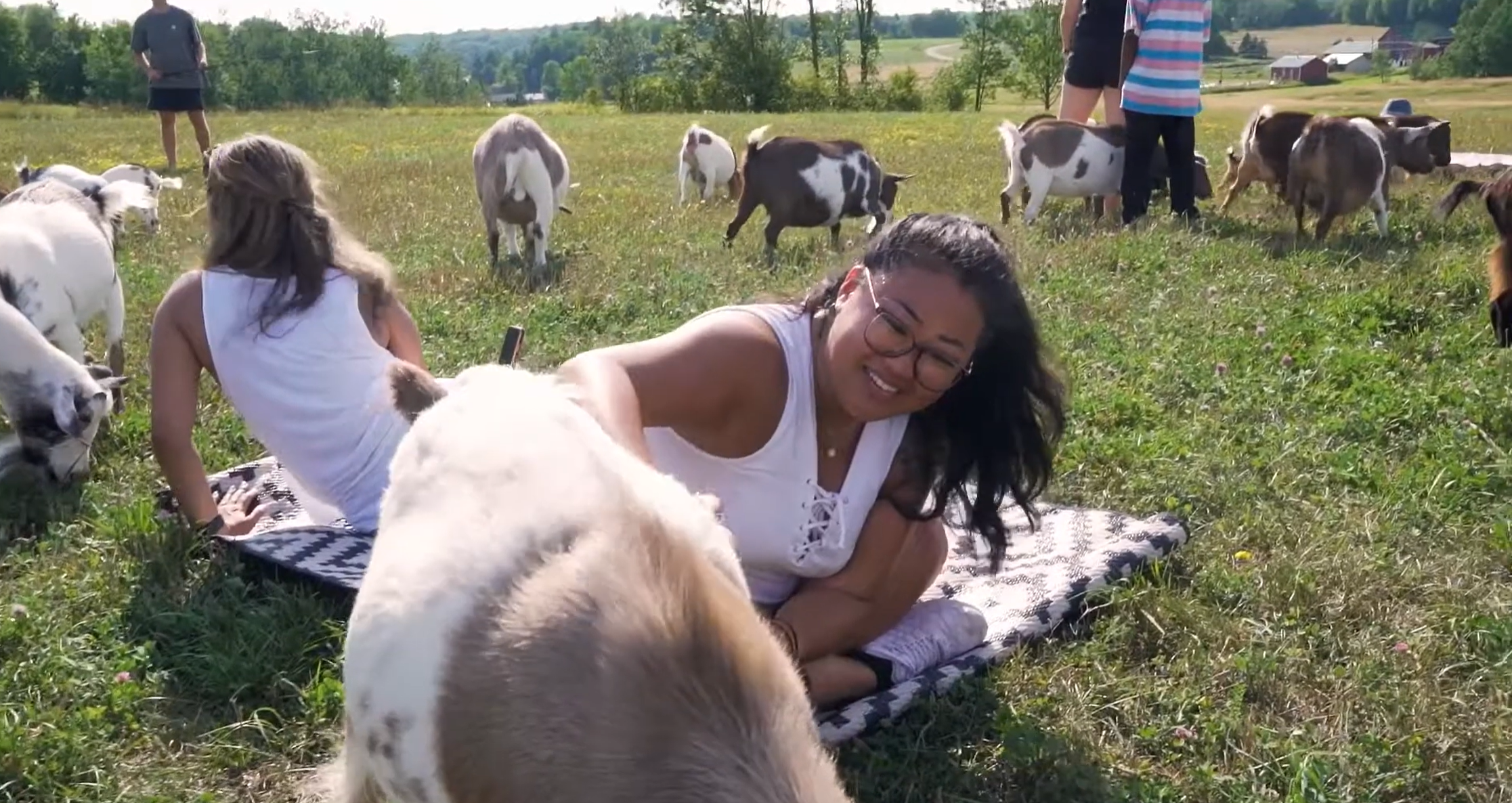 People, including a woman with glasses lying on a blanket, interacting with goats in a grassy field on a sunny day with a rural landscape in the background.