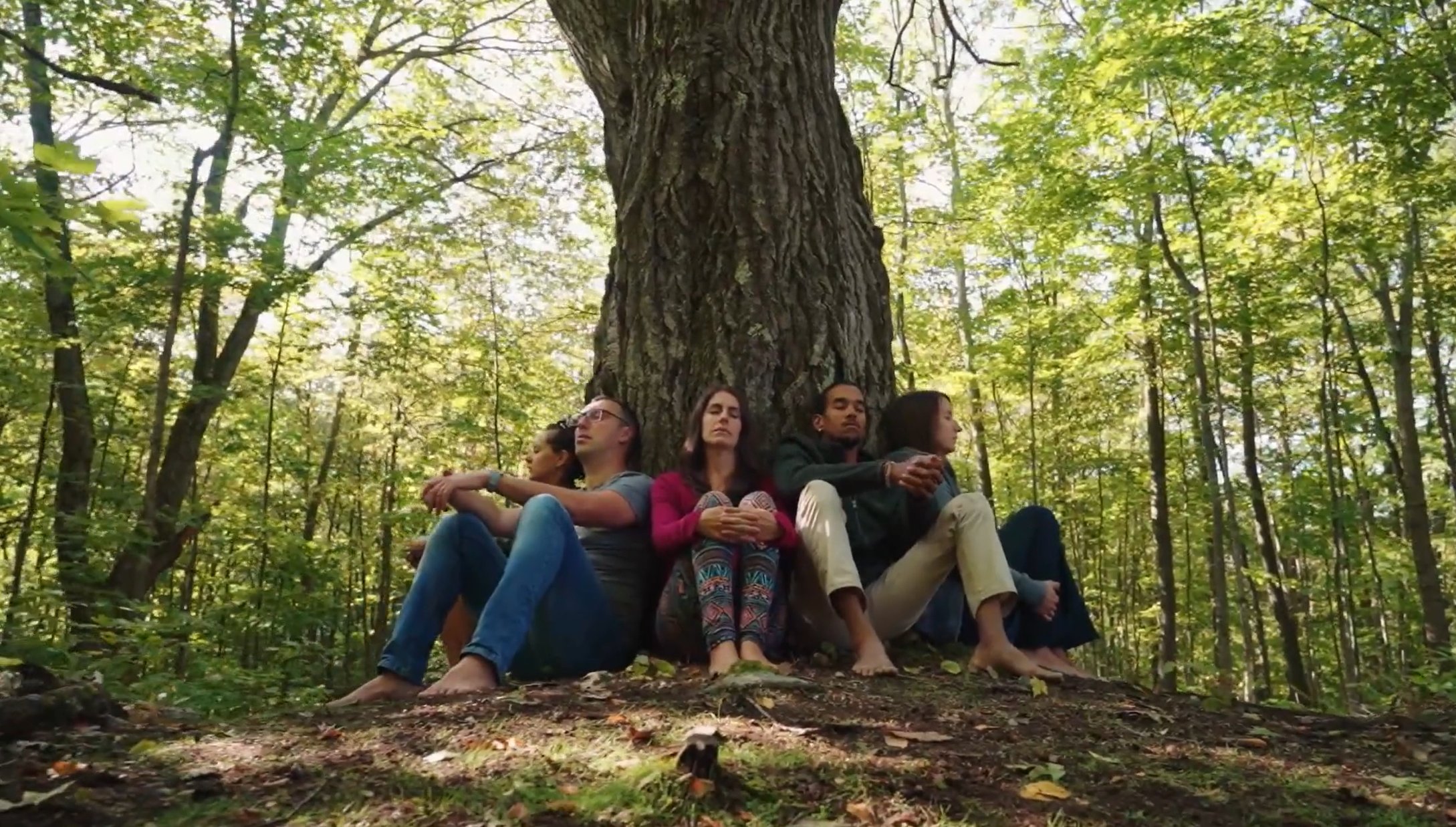 A group of five young adults sitting against a large tree in a dense forest, relaxing with their eyes closed.